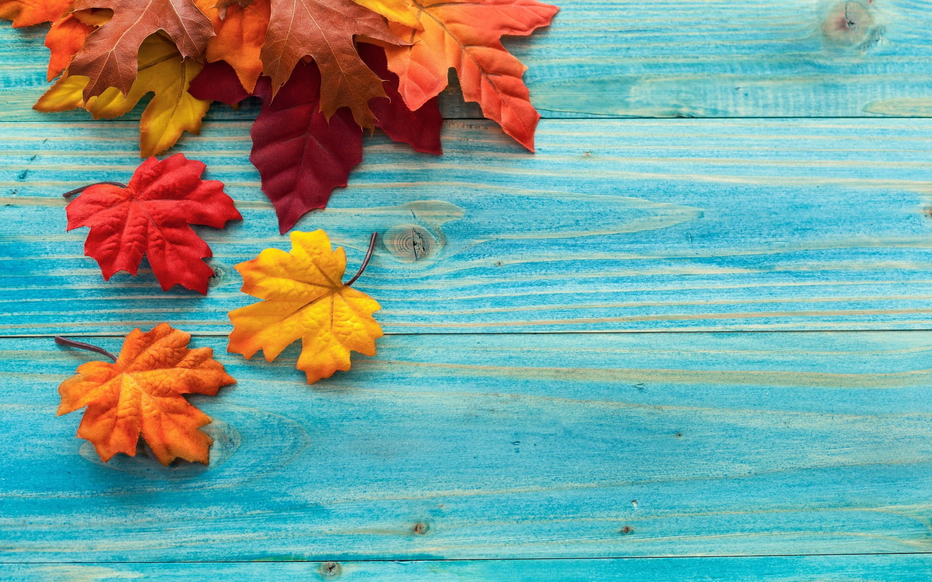 pattern, orange color, flower, flower head, leaf, plant, wood - material, table, directly above, beauty in nature, still life, autumn, leaves, 1080P, wooden surface, HD Wallpaper
