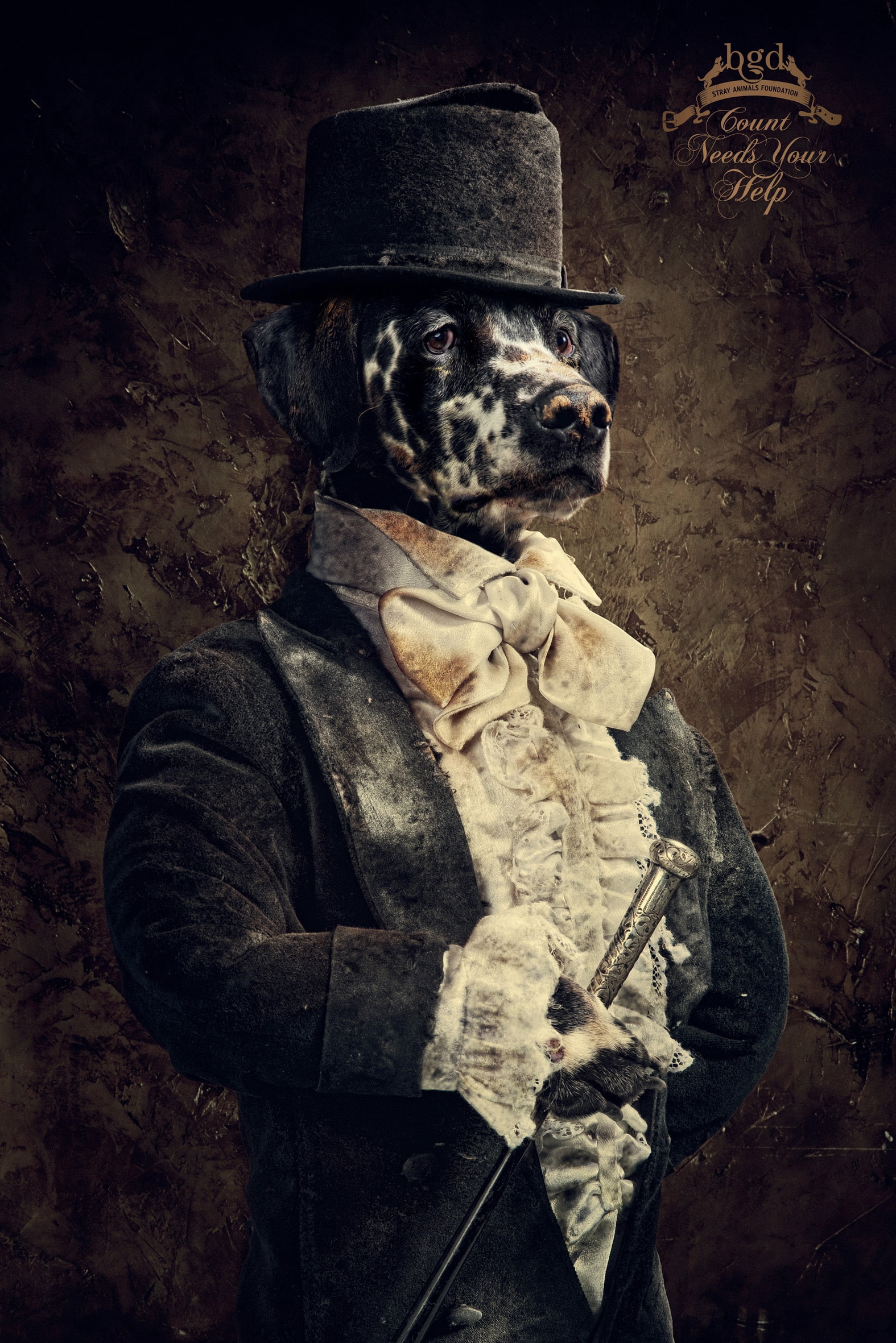 dogs, x, suit, costume, canine, tophat, art, hd, gentleman, animals, 1080P, Phone HD Wallpaper