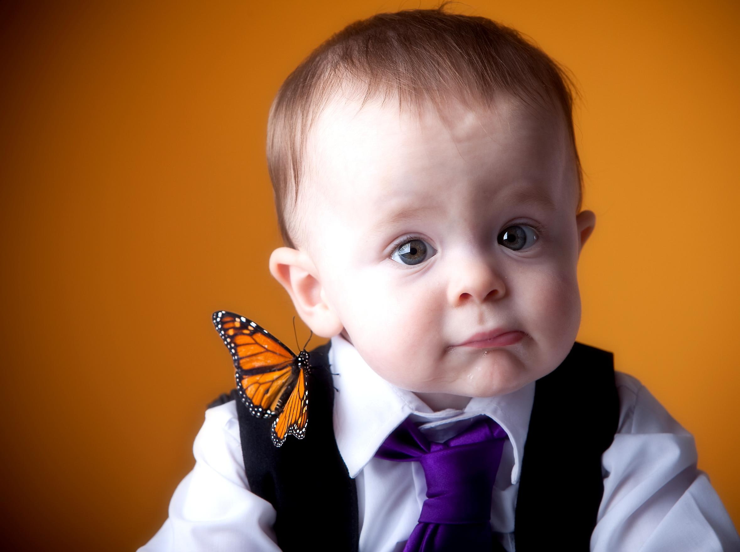 mr, photography, gentleman, butterfly, 1080P, HD Wallpaper