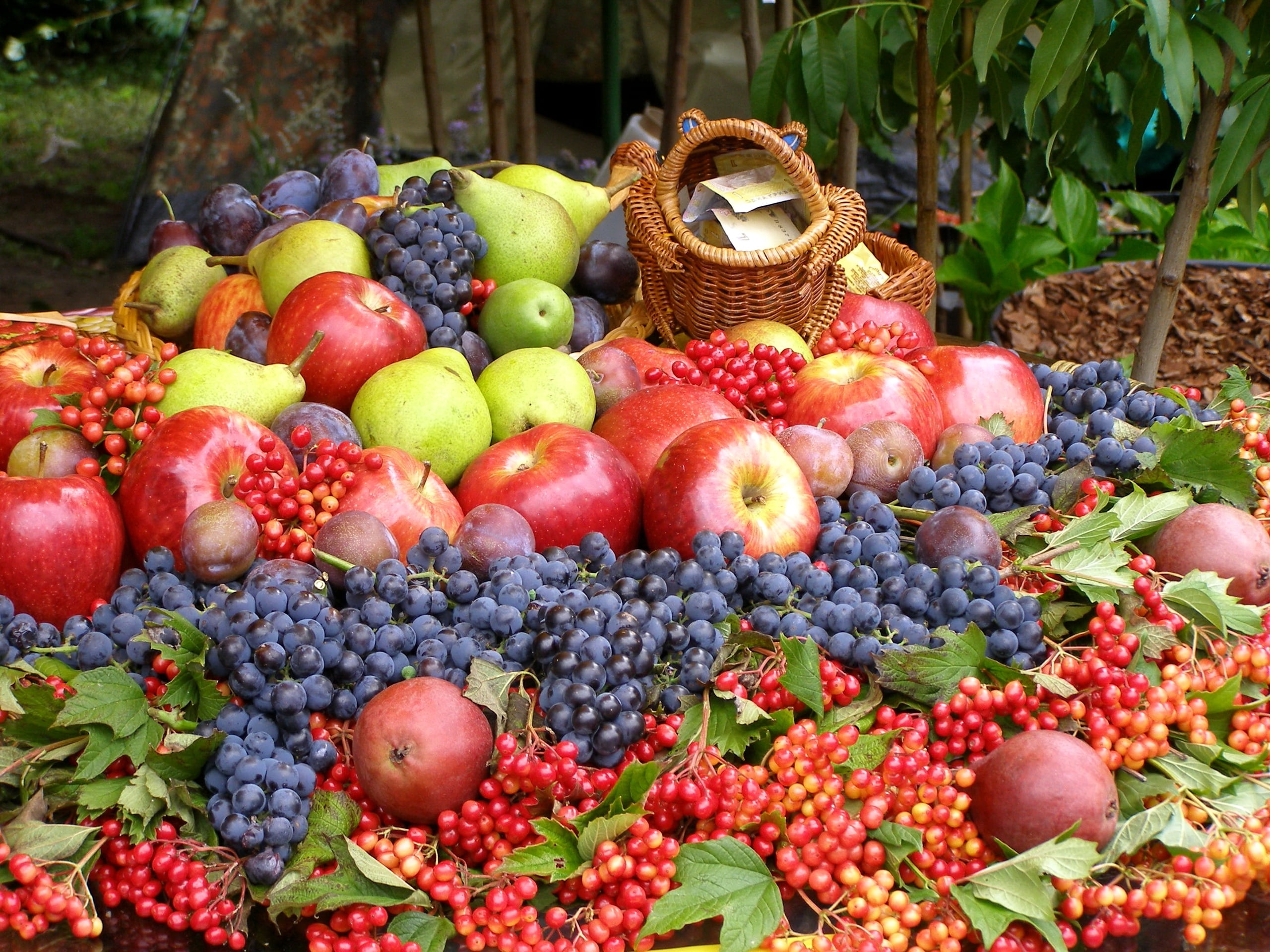 apple - Fruit, yellow, ripe, fruits, red, organic, food And Drink, grapes, outdoors, basket, much, dieting, still life, healthy Eating, fruit, market, strawberry, HD Wallpaper