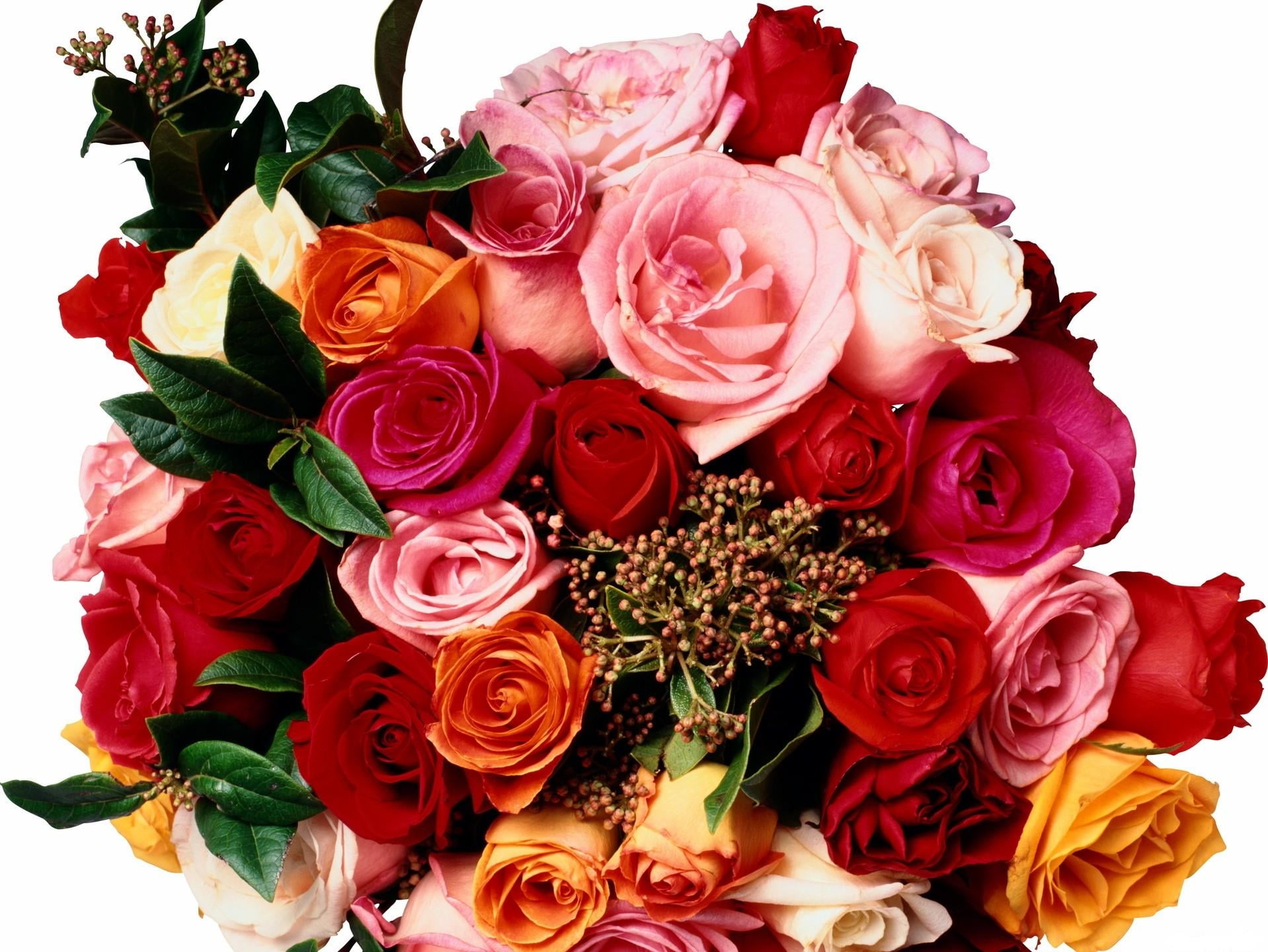 summer, no people, wedding, red, vulnerability, inflorescence, gift, white, high angle view, bunch of flowers, indoors, leaf, 720P, anniversary, beauty, HD Wallpaper