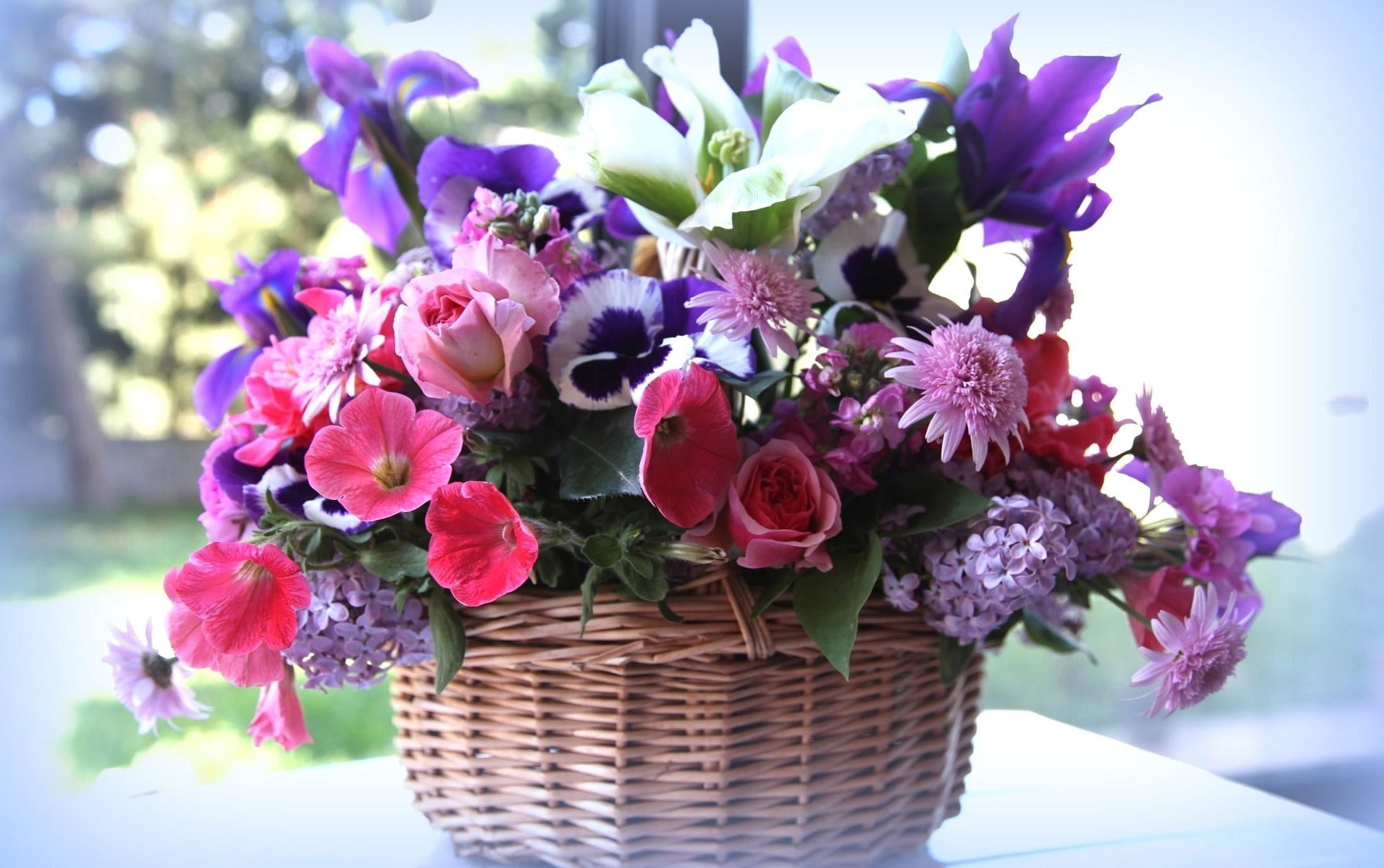 gift, bouquet, cut Flowers, much, arrangement, bunch, beauty In Nature, outdoors, lilac, bunch of flowers, 1080P, pink Color, vase, container, shopping, HD Wallpaper