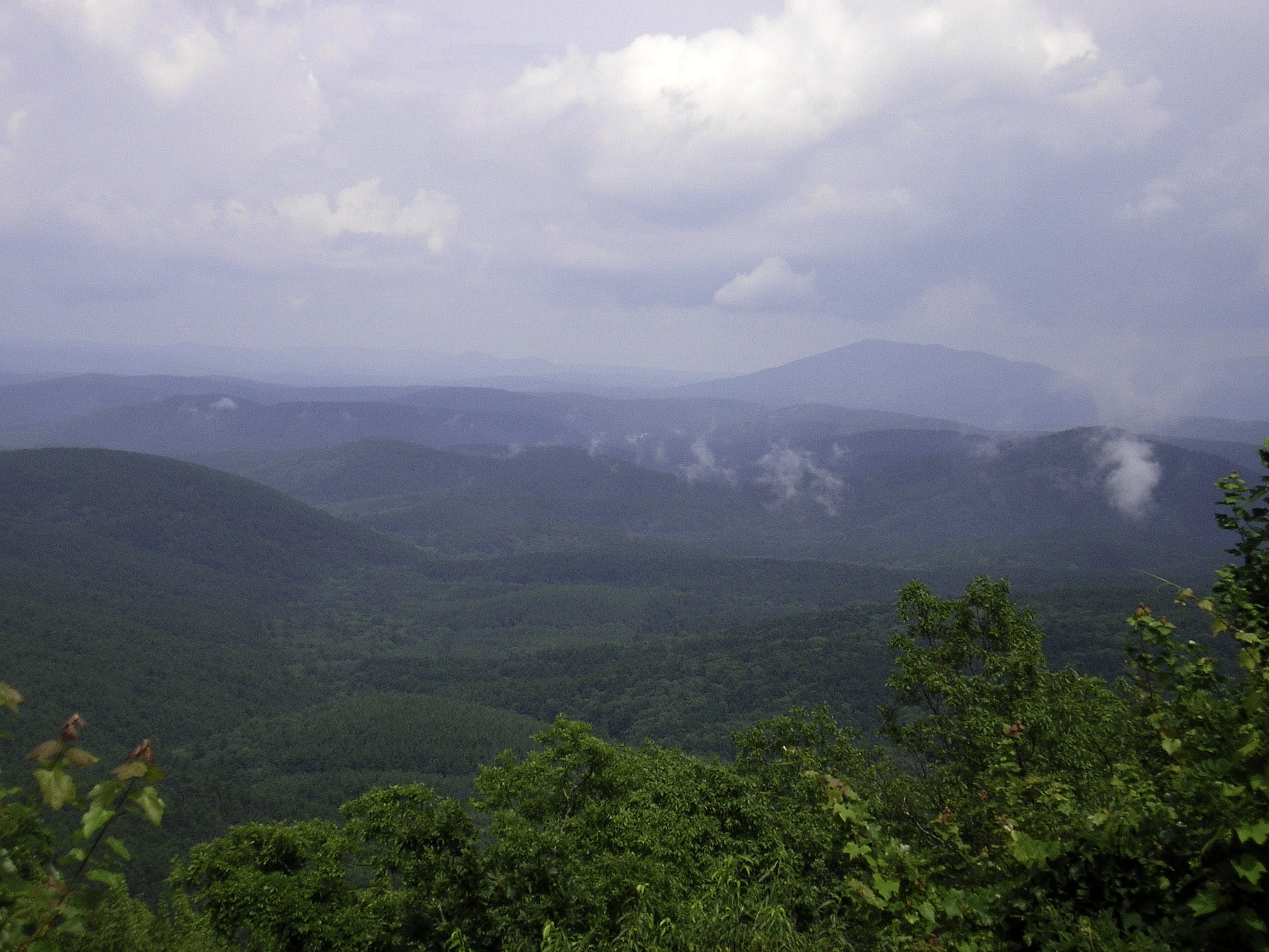 plant, hills, nature, environment, non-urban scene, ouachita, tranquil scene, 1080P, photos, green color, high, tranquility, Ouachita Mountains, public domain, HD Wallpaper