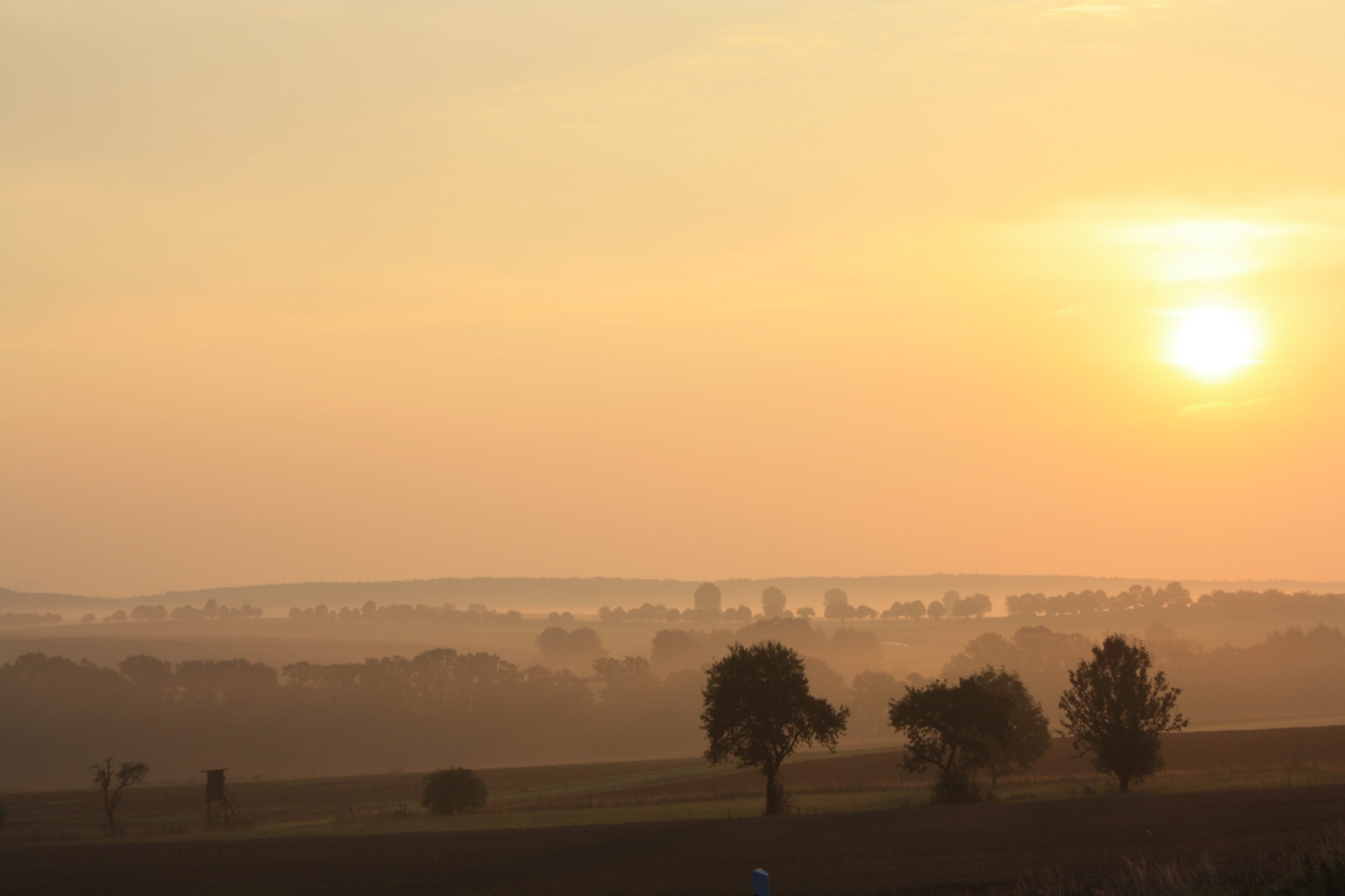 no people, silhouette, non-urban scene, please donate, tree, field, outdoors, environment, rural scene, Donate, morgenstimmung, beauty in nature, plesse castle, HD Wallpaper