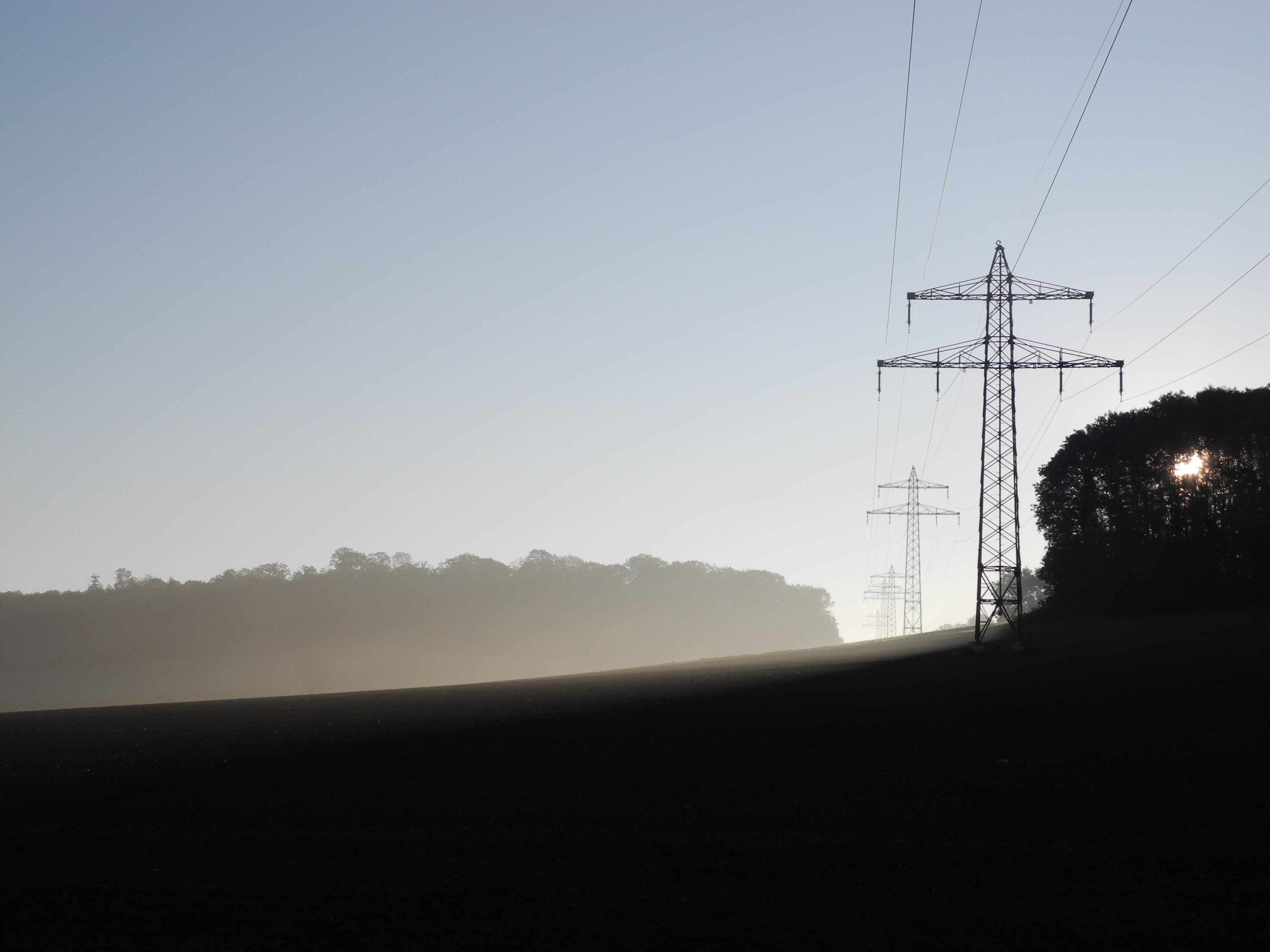 please donate, environment, outdoors, power supply, clear sky, forest, tranquility, tree, Paypal, nature, sky, silhouette, landline, power line, please appreciate, HD Wallpaper