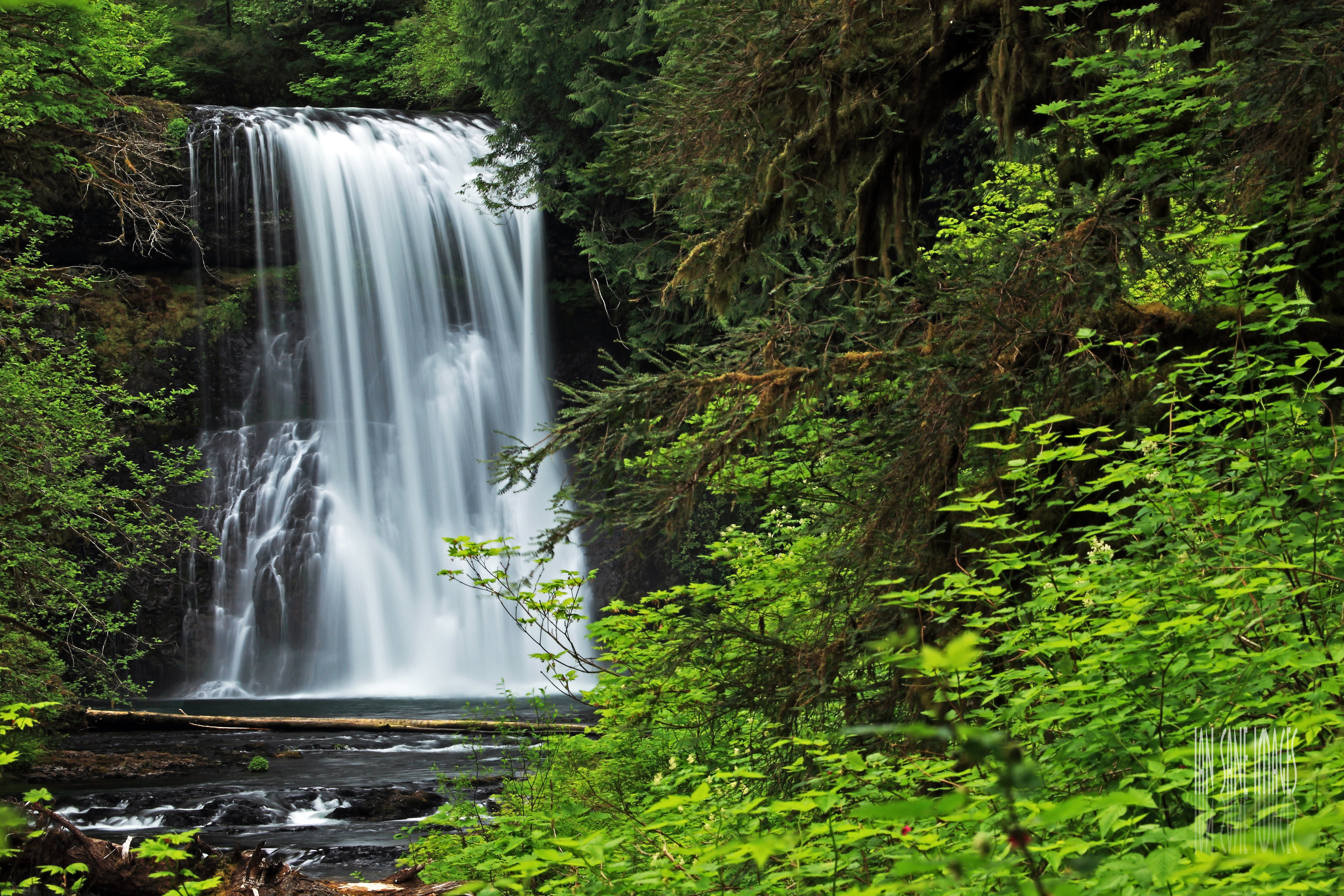North, Silver  State, water falls, State  Park, outdoors, Nature, photo, beauty In Nature, 5K, Forest, Ten, tree, Oregon, landscape, water, Leaves, Images, HD Wallpaper