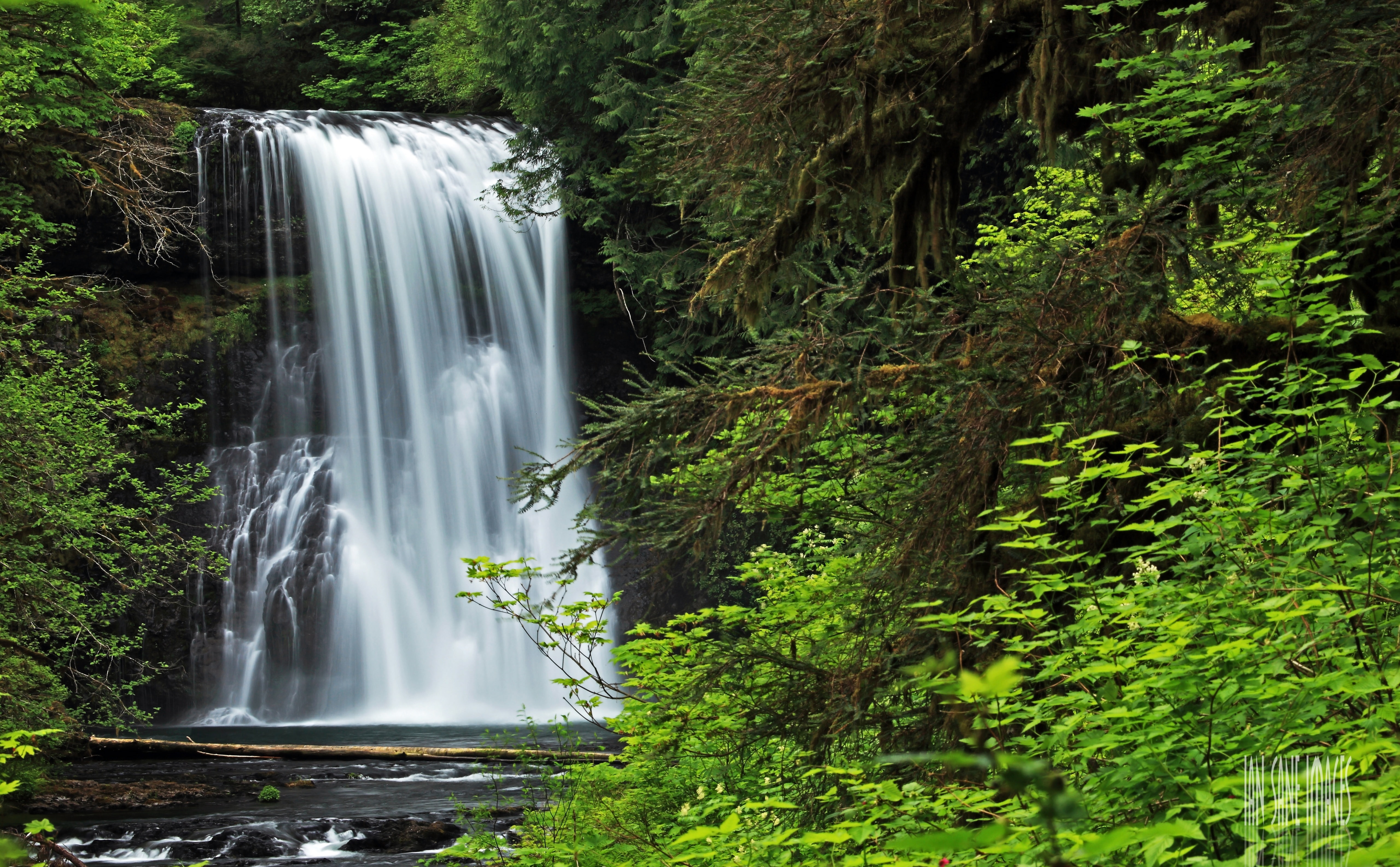 no people, environment, Park, foliage, power in nature, rainforest, Creek, Forest, falling water, waterfall, scenics - nature, North, Sublimity, beauty in nature, HD Wallpaper