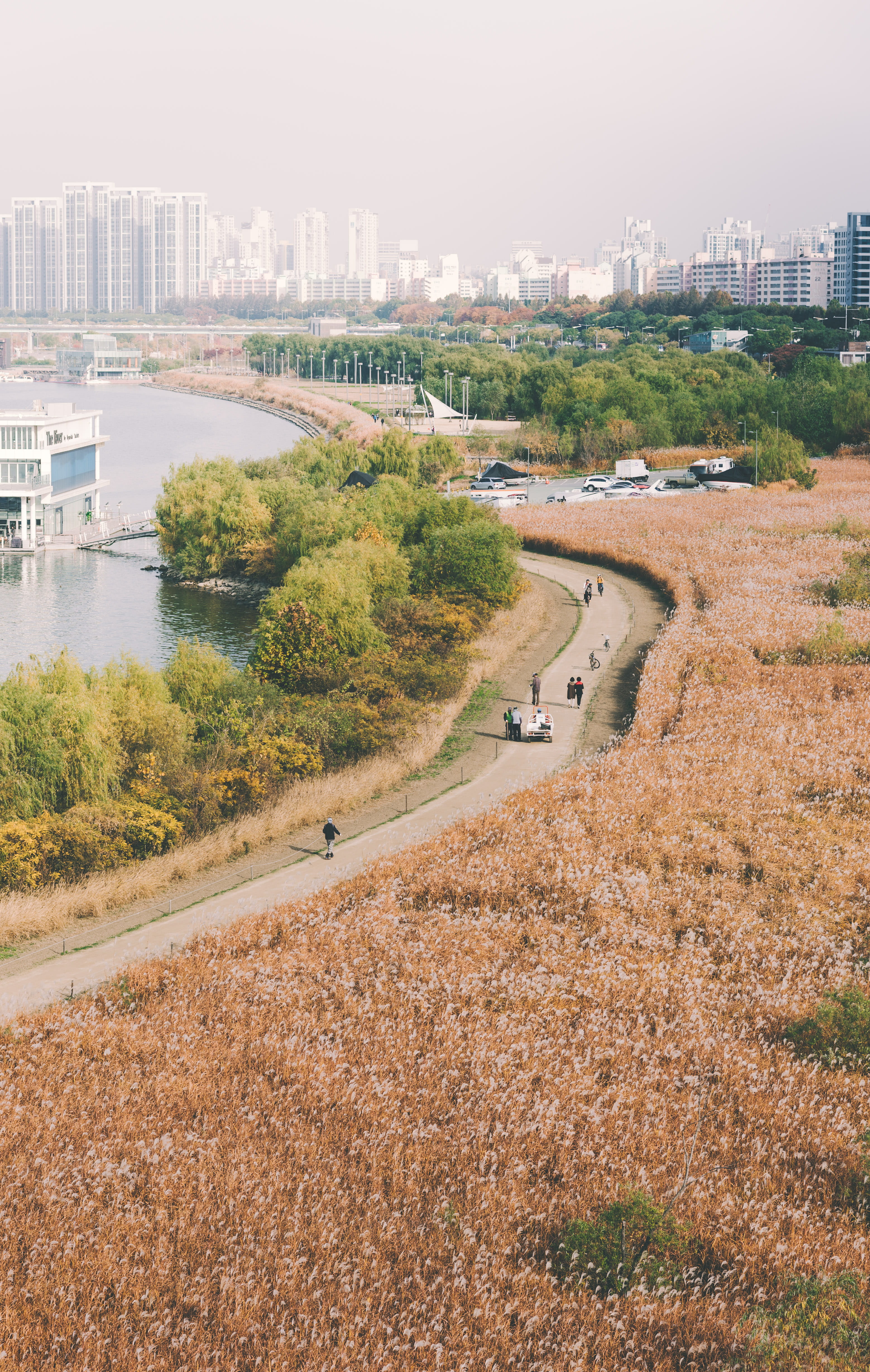 tree, walk, cityscape, autumn, road, person, built structure, field, fall, growth, eye, hike, transportation, high angle view, day, s, bird, river, view, Phone HD Wallpaper
