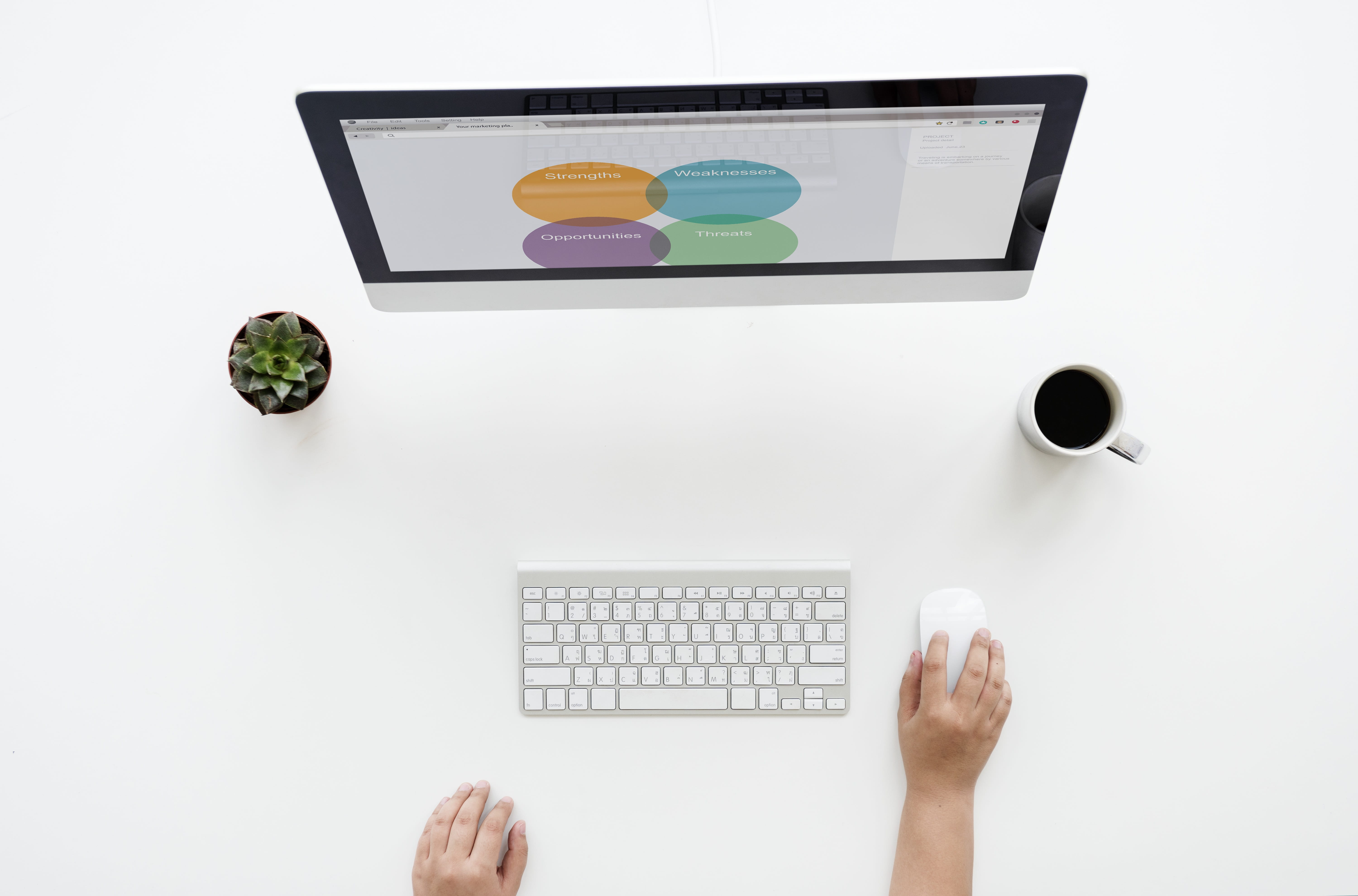 plant, plan, houseplant, imac, using, indoors, workspace, office, connection, swot, hands, workplace, white background, table, desk, working, information, HD Wallpaper