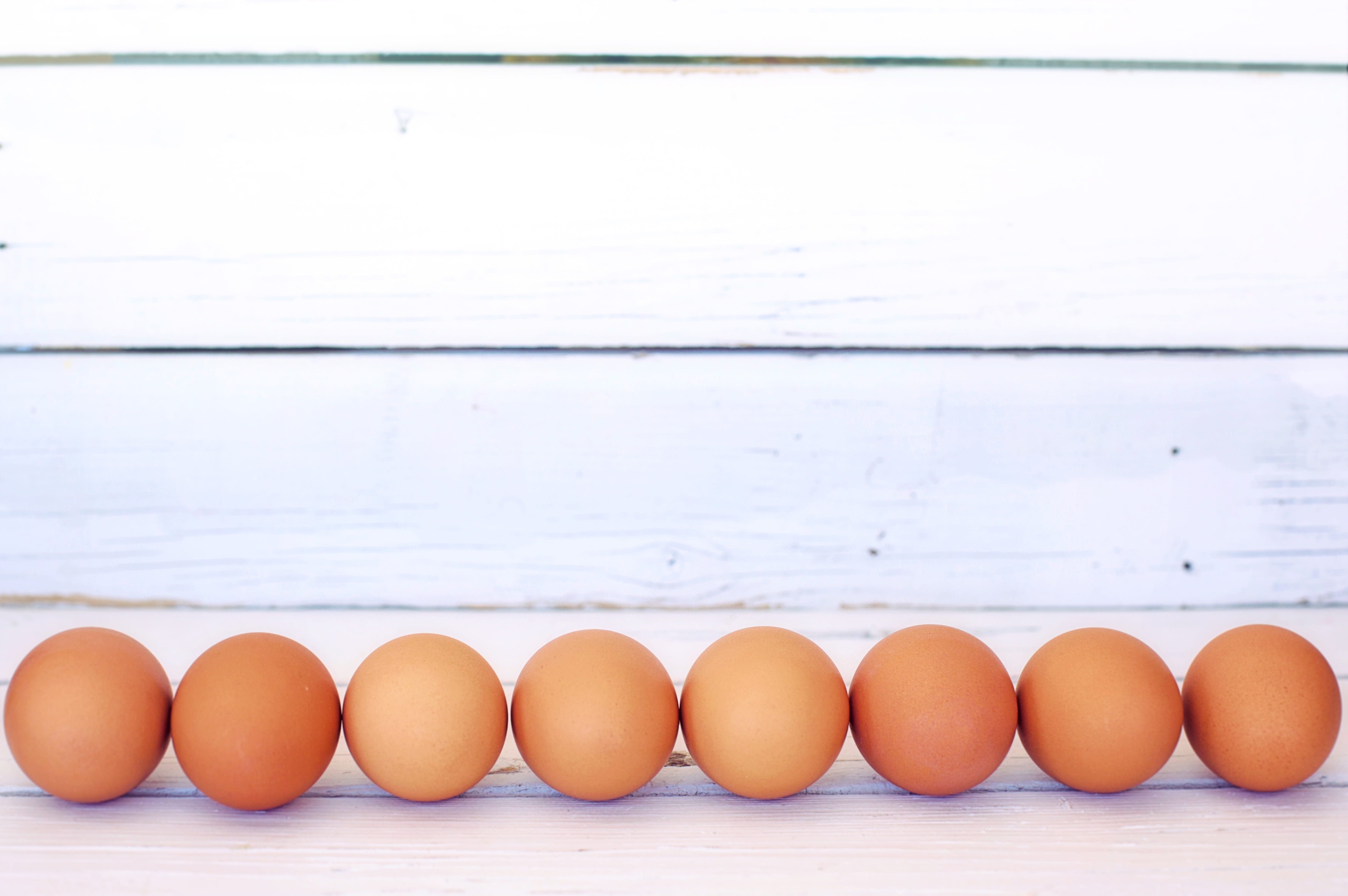 brown, in a row, cholesterol, healthy eating, food and drink, raw food, wellbeing, food, brown eggs, indoors, 4K, eggs, organic, arrangement, easter, forming, HD Wallpaper