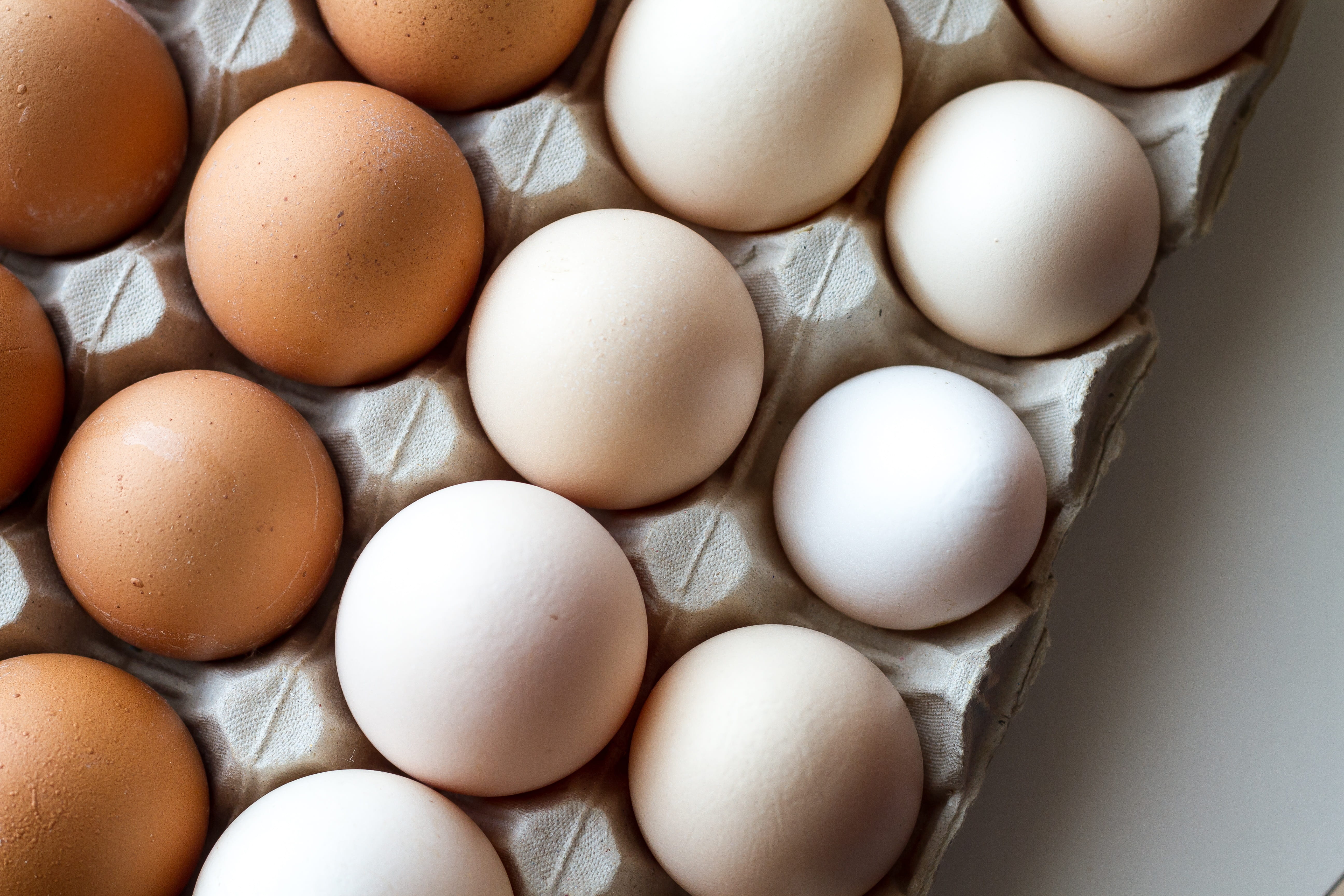 5K, vegetarian, food, egg carton, nature, fragility, vulnerability, chantilly, wellbeing, raw food, shell, eggs, easter, white, indoors, high angle view, HD Wallpaper