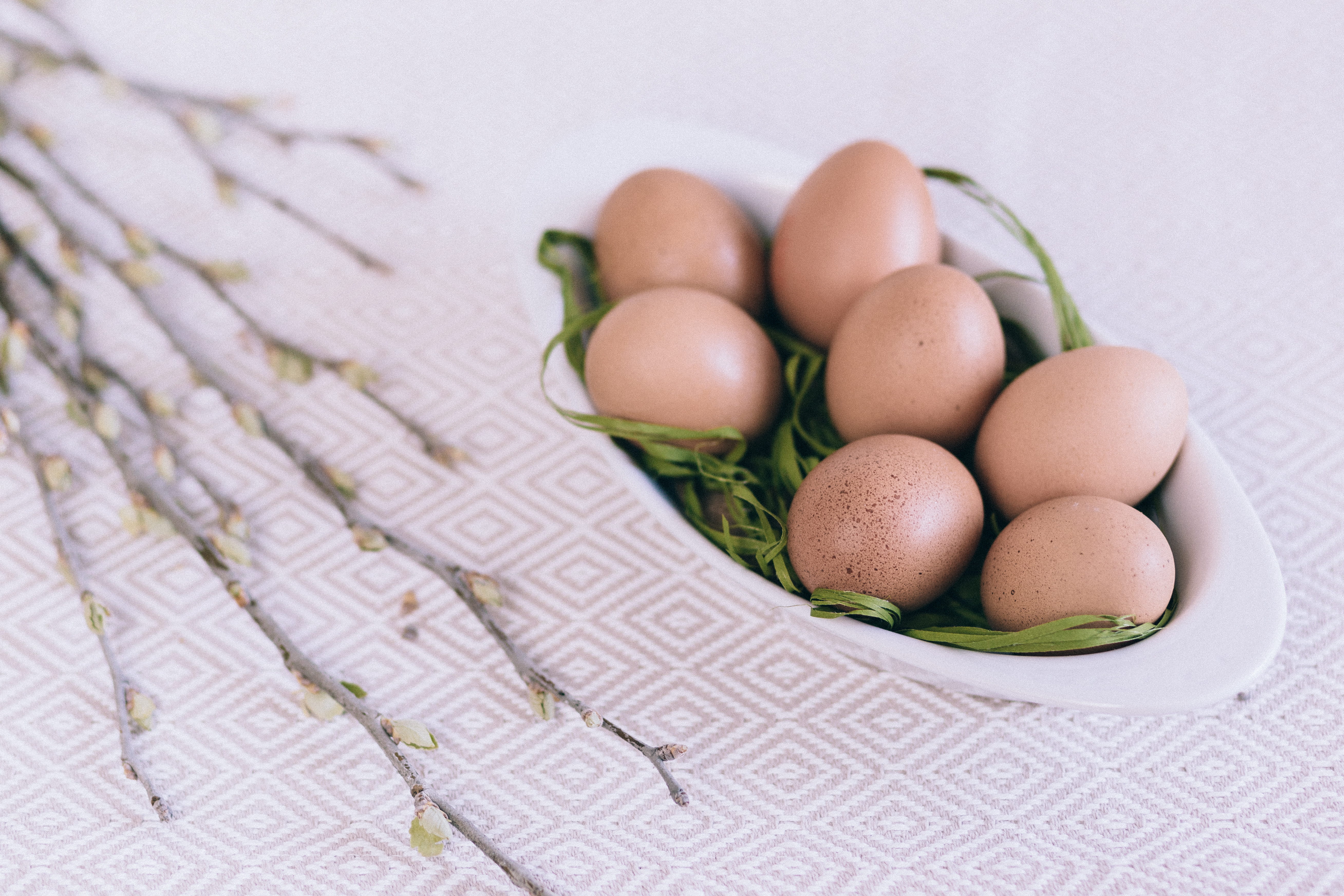 vulnerability, studio shot, tablecloth, fragility, farm, freshness, 5K, brown, animal Egg, food and drink, food, indoors, still life, close-up, healthy eating, HD Wallpaper