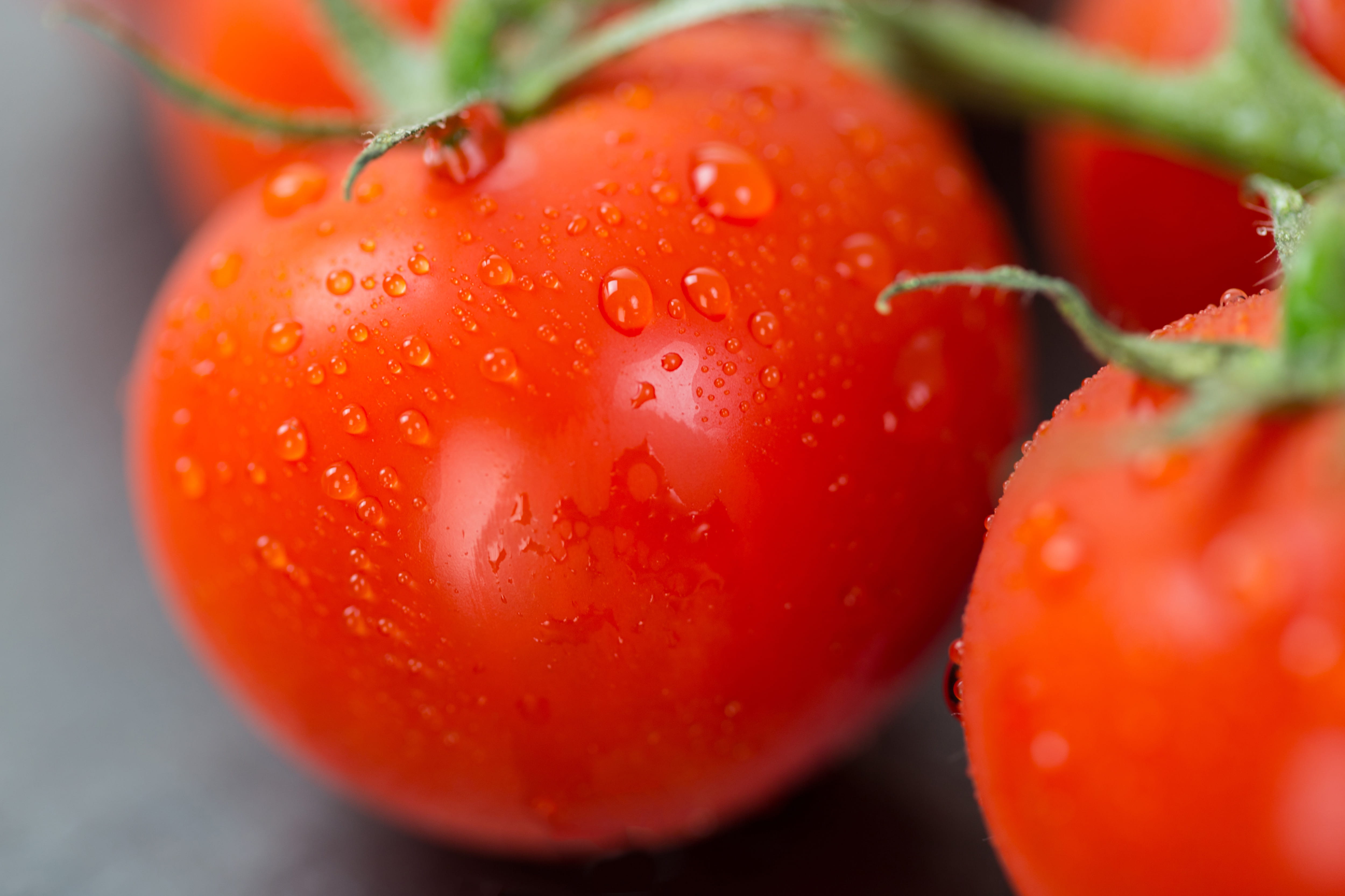 selective focus, food/Drink, purity, berry fruit, drop, 4K, food And Drink, vegetable, vegetables, tomatoes, fresh, tomato, vegetarian Food, nature, red, HD Wallpaper