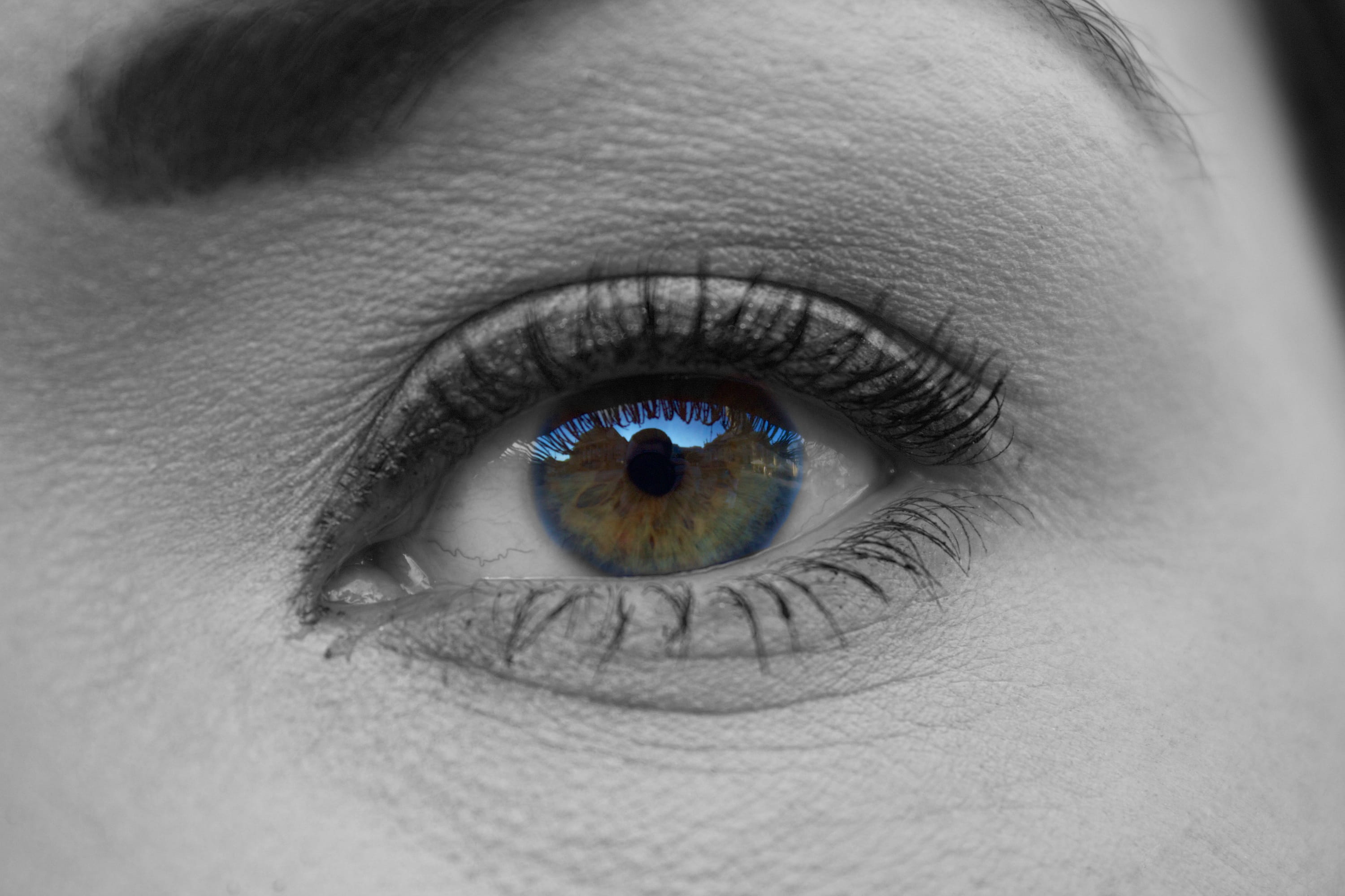 caucasian Ethnicity, isolated color, female, eyesight, attractive, wellness, eyes, body part, females, eyebrow, eyelashes, macro, looking at camera, one Person, HD Wallpaper