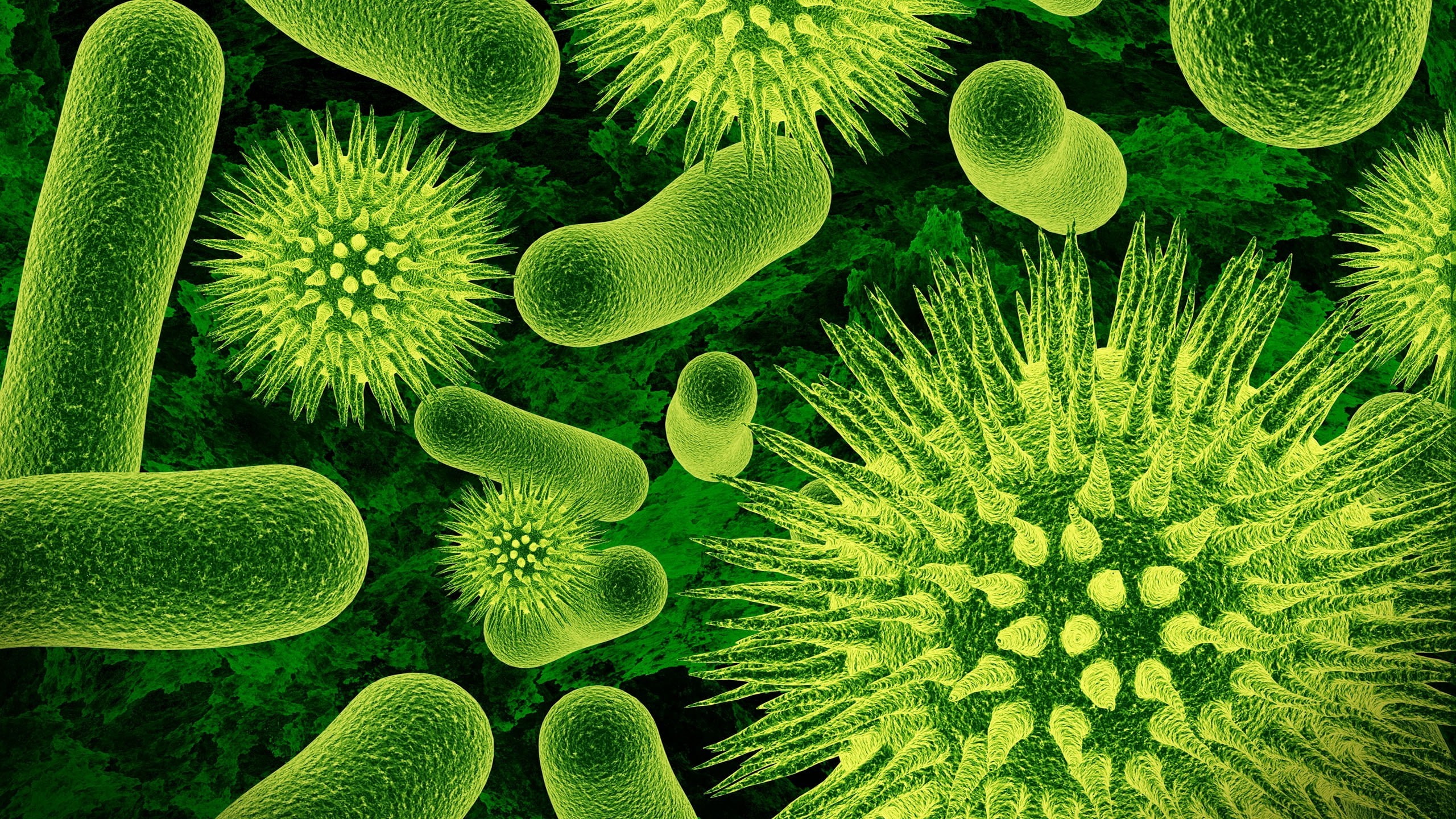 Viruses, no people, close-up, animal themes, magnification, 2K, sea life, undersea, Green, green color, animal wildlife, animals in the wild, nature, sea, HD Wallpaper