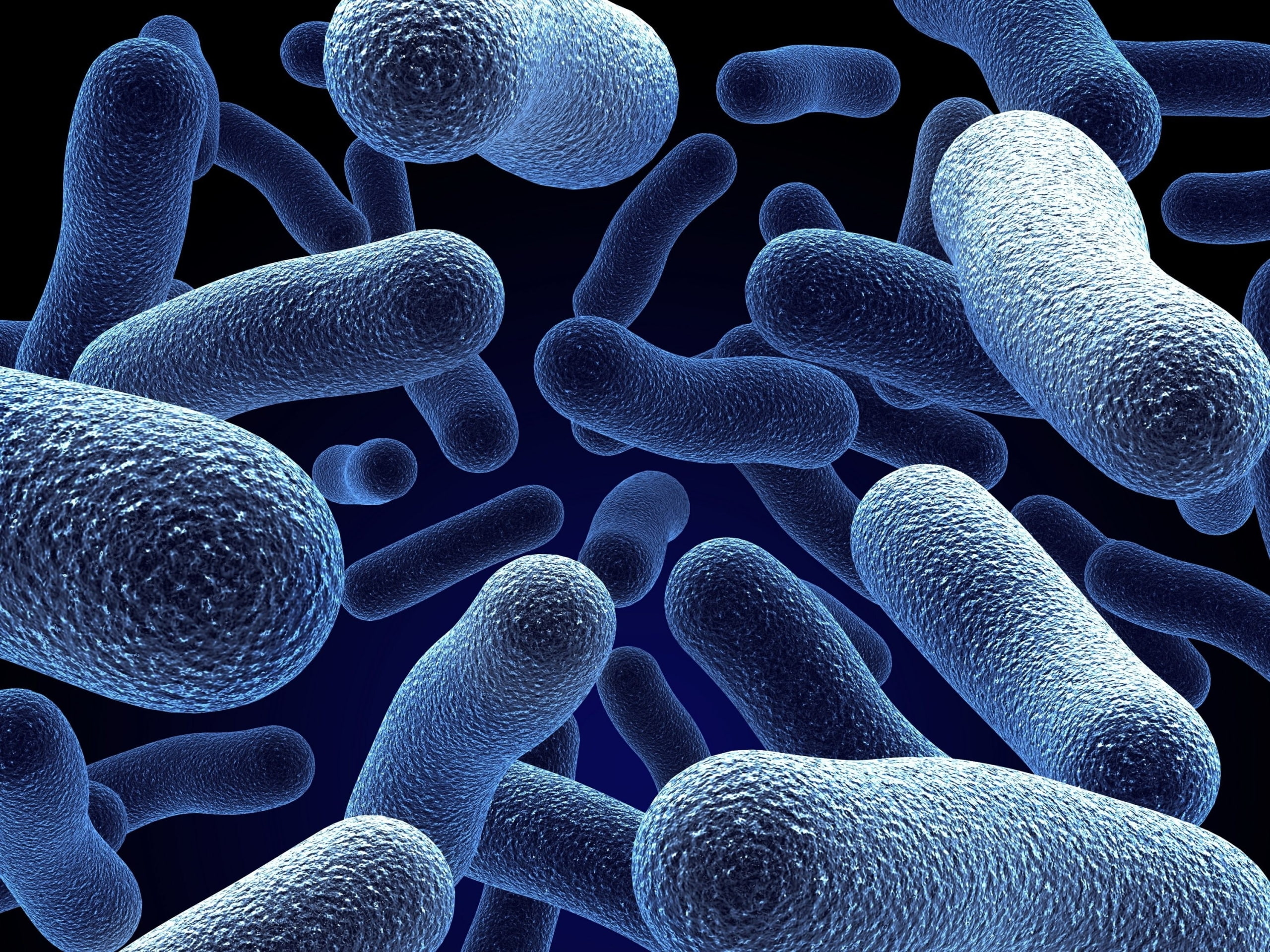 Bacteria, 2K, HD Wallpaper