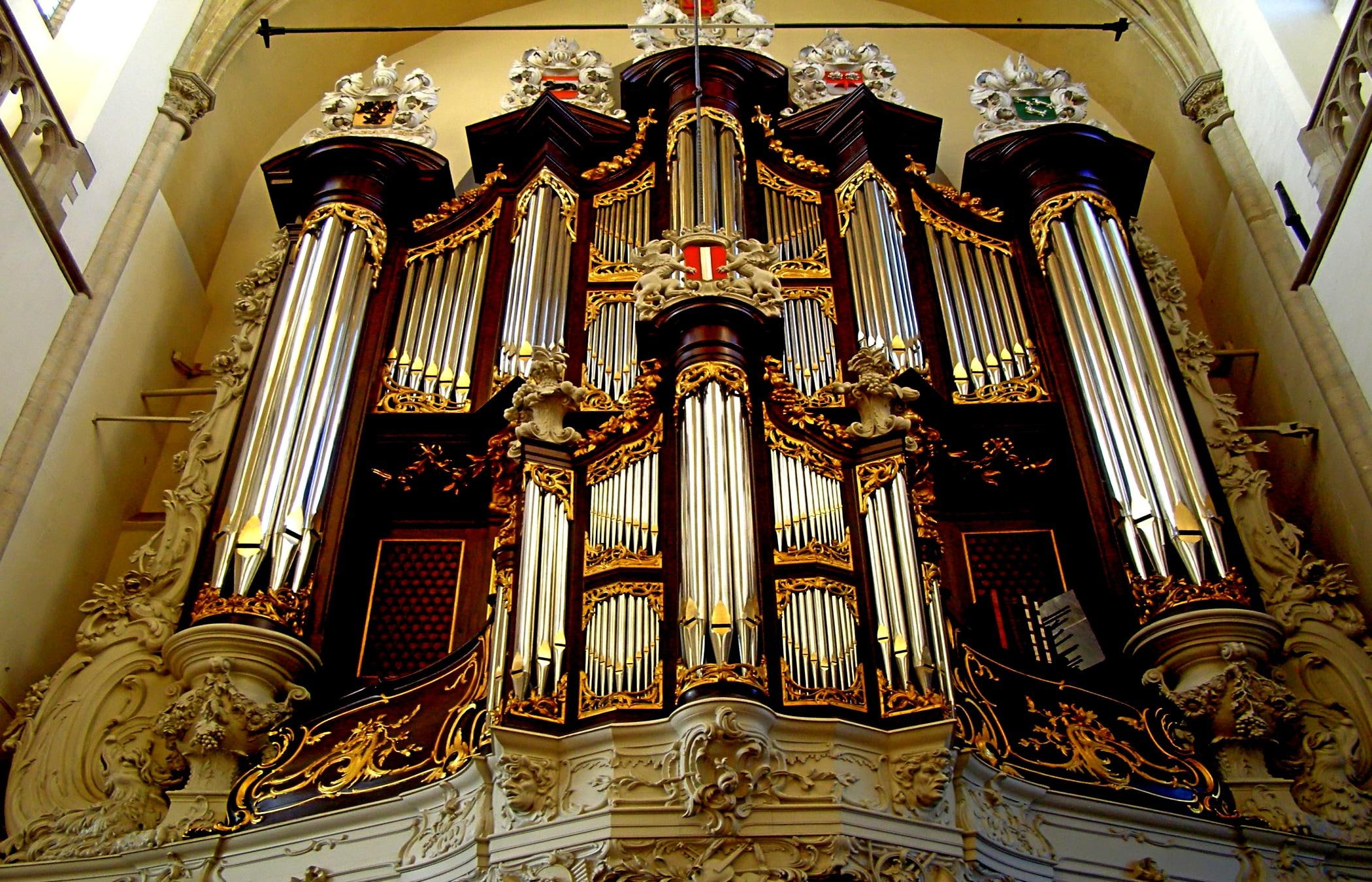 1080P, beauty, organ, amazing, animals, church, building, musical, begin, HD Wallpaper