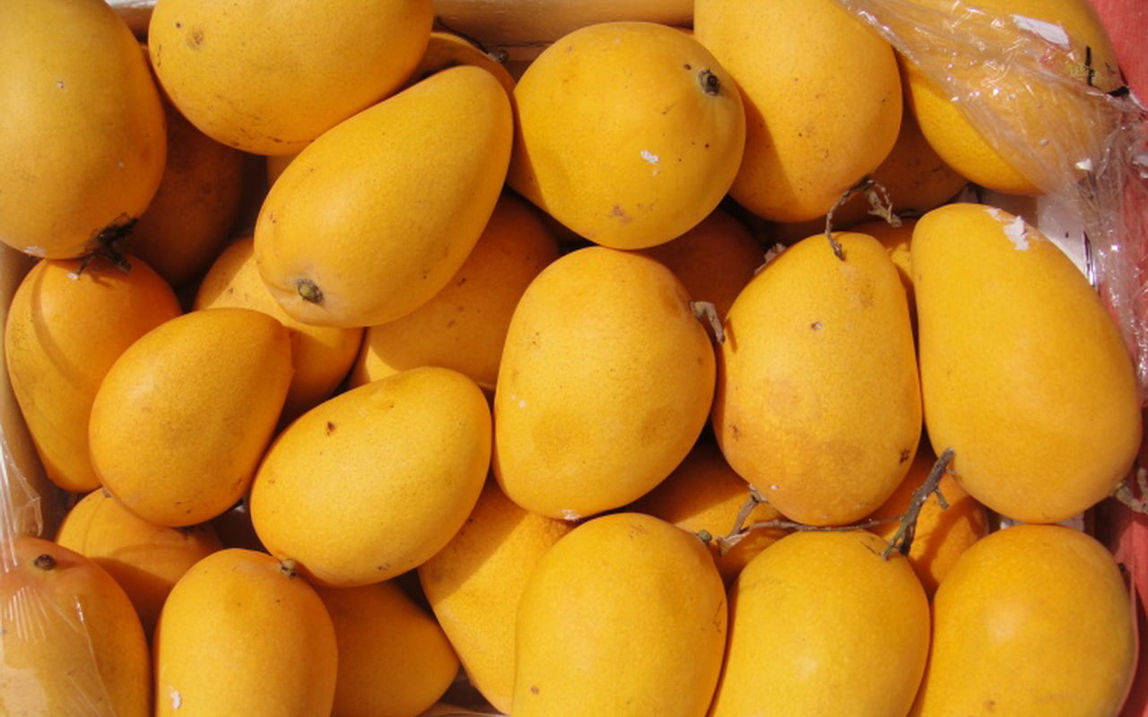 mango, fruit, nature, 1280x800, 720P, HD Wallpaper