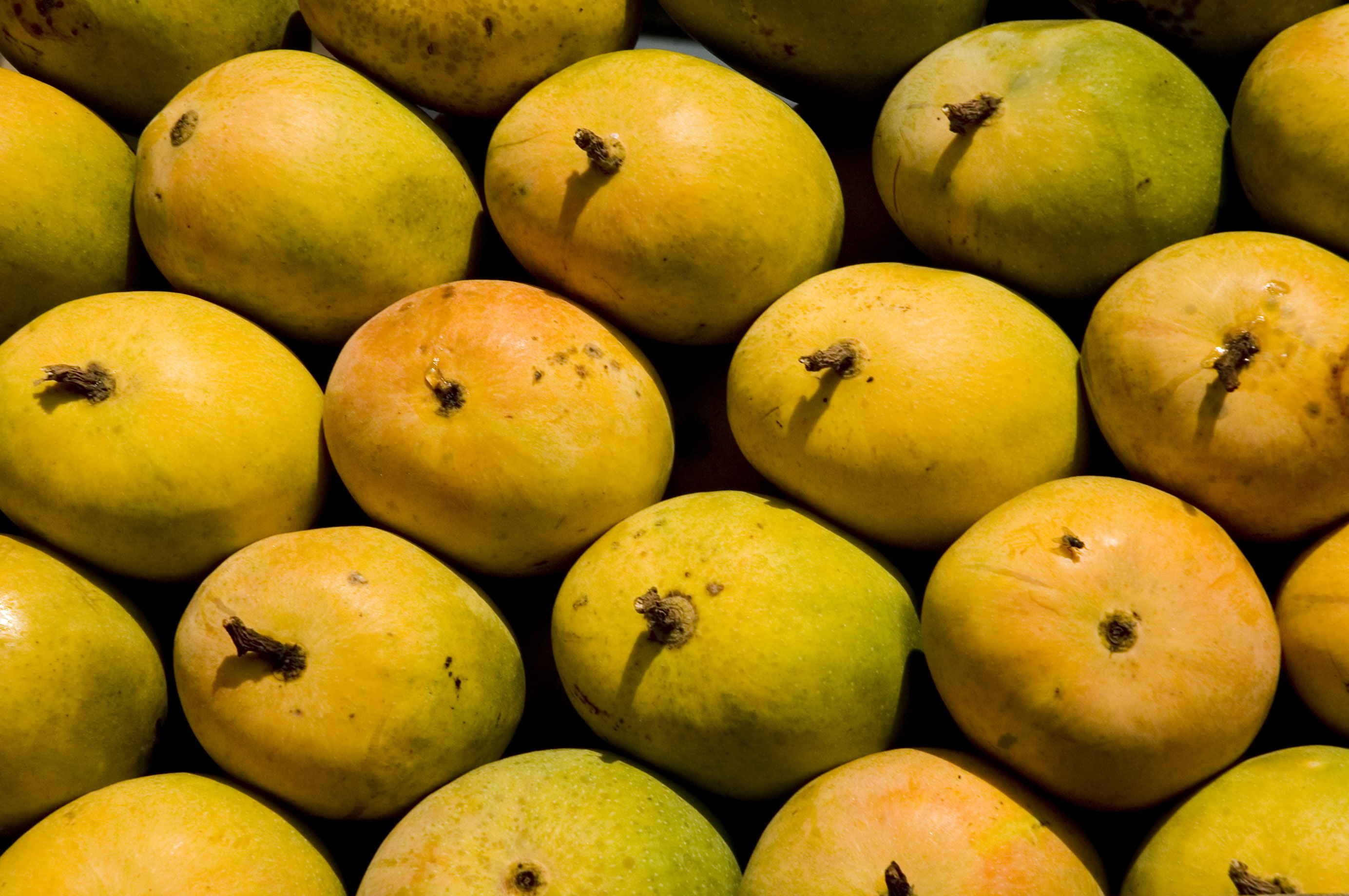 mango, 2K, fruit, nature, HD Wallpaper