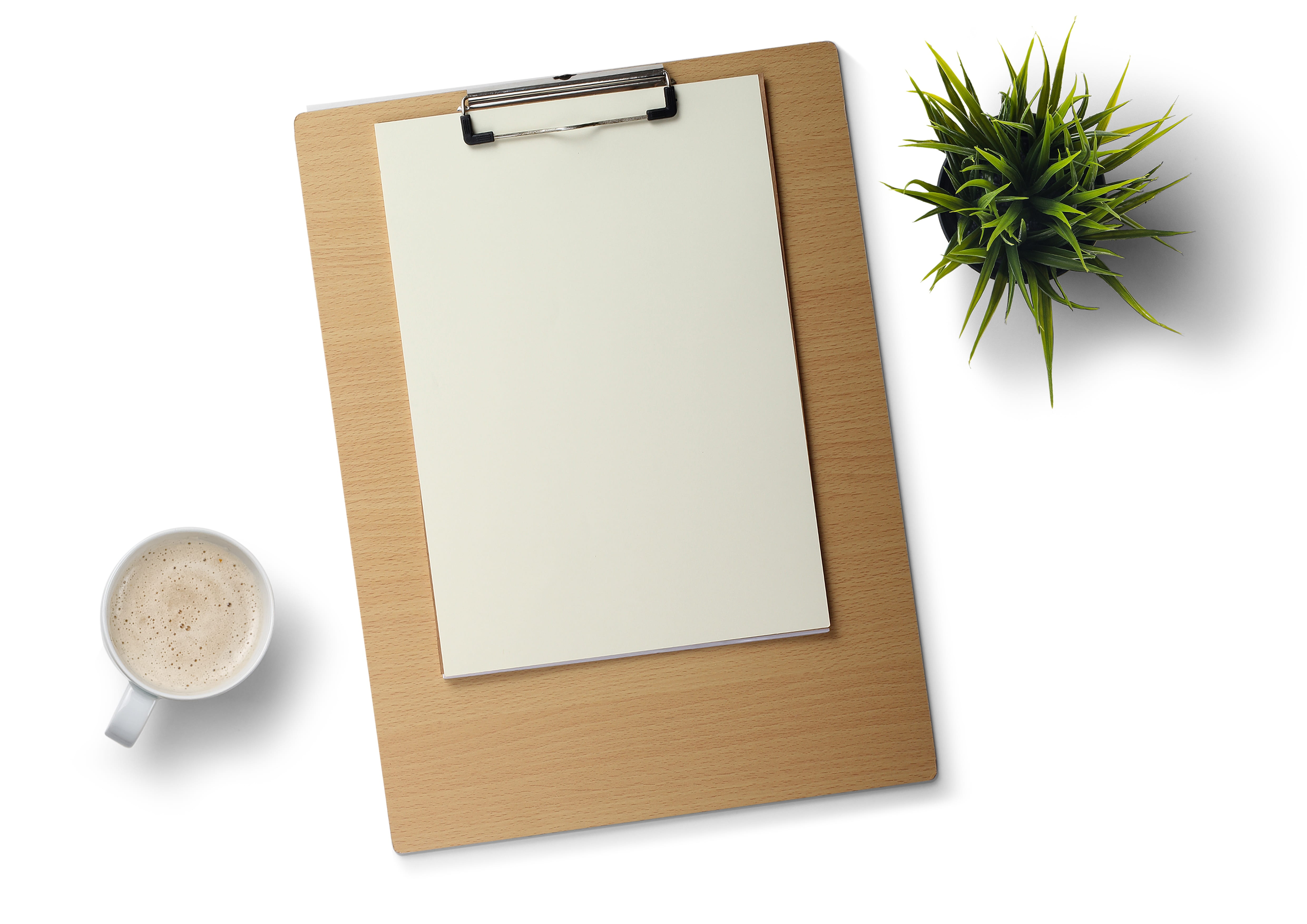 coffee cup, crockery, drawing pad, leaf, coffee - drink, studio shot, copy space, indoors, directly above, no people, 4K, cut out, note pad, blank, paper, HD Wallpaper