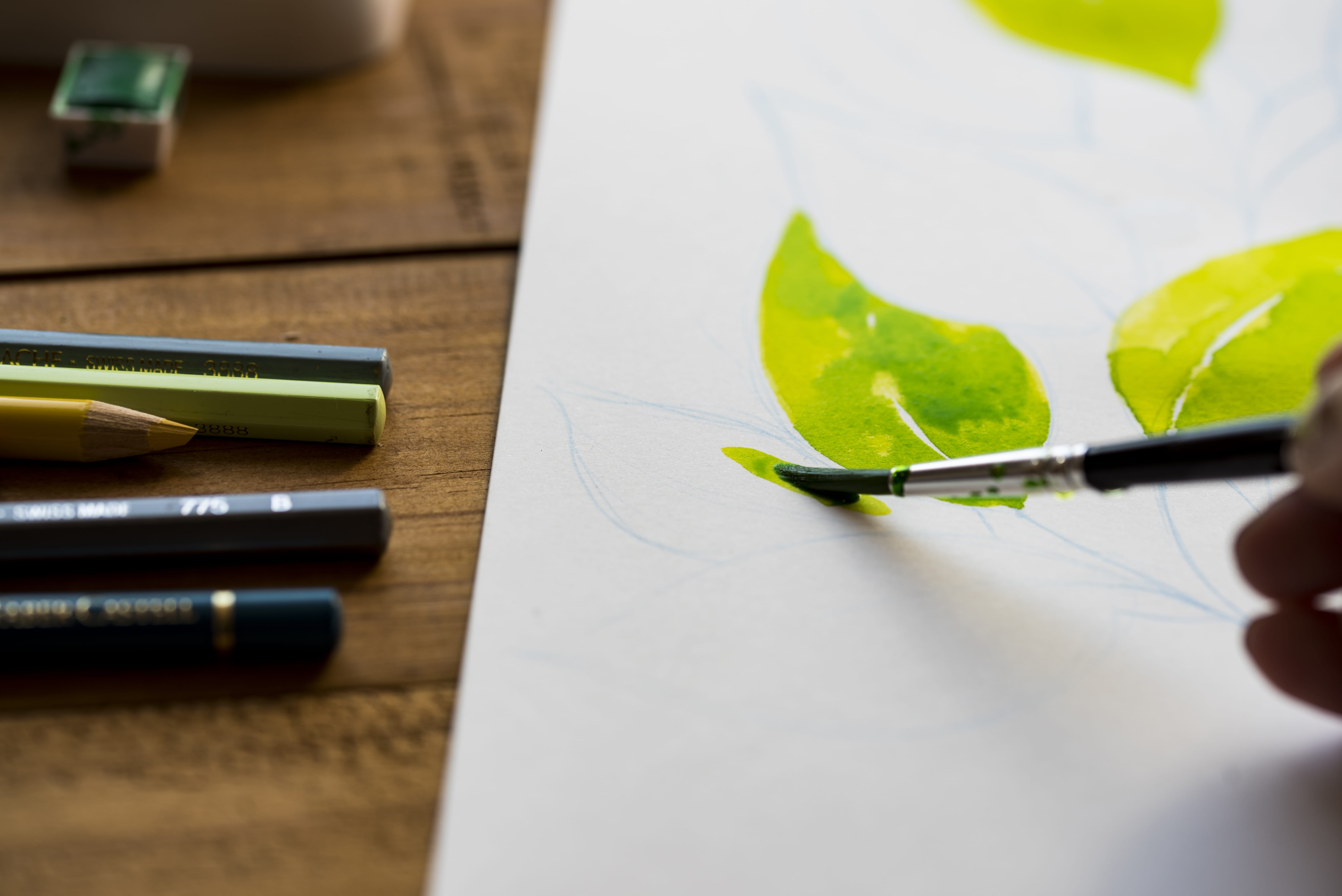 office, wooden table, leaves, office supply, art and craft, artwork, planning, writing instrument, paint, close-up, brushstroke, person, watercolour, paper, HD Wallpaper