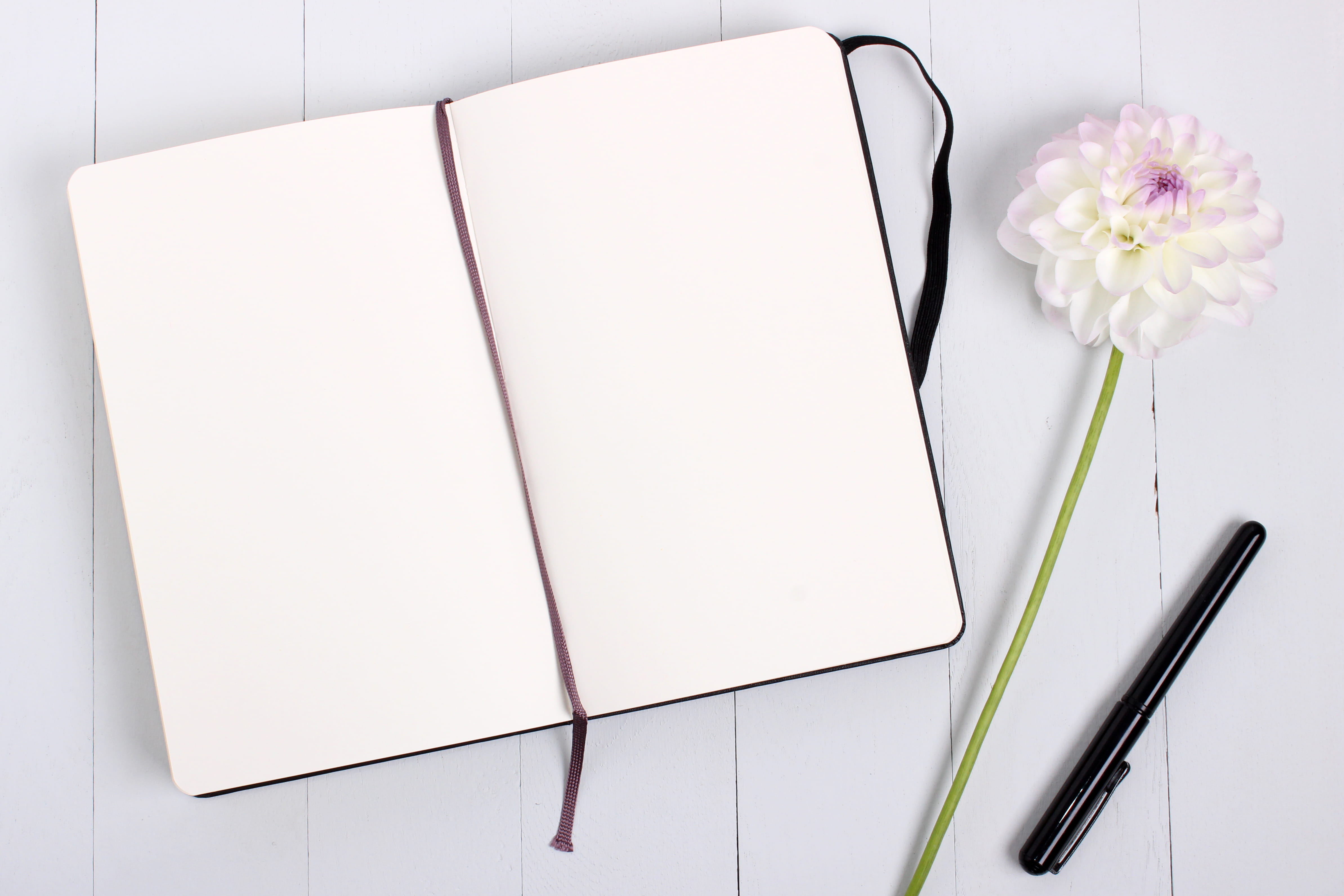 note pad, indoors, blank, technology, message, flower head, no people, publication, paper, ballpoint, beauty in nature, book, white color, close-up, nature, HD Wallpaper