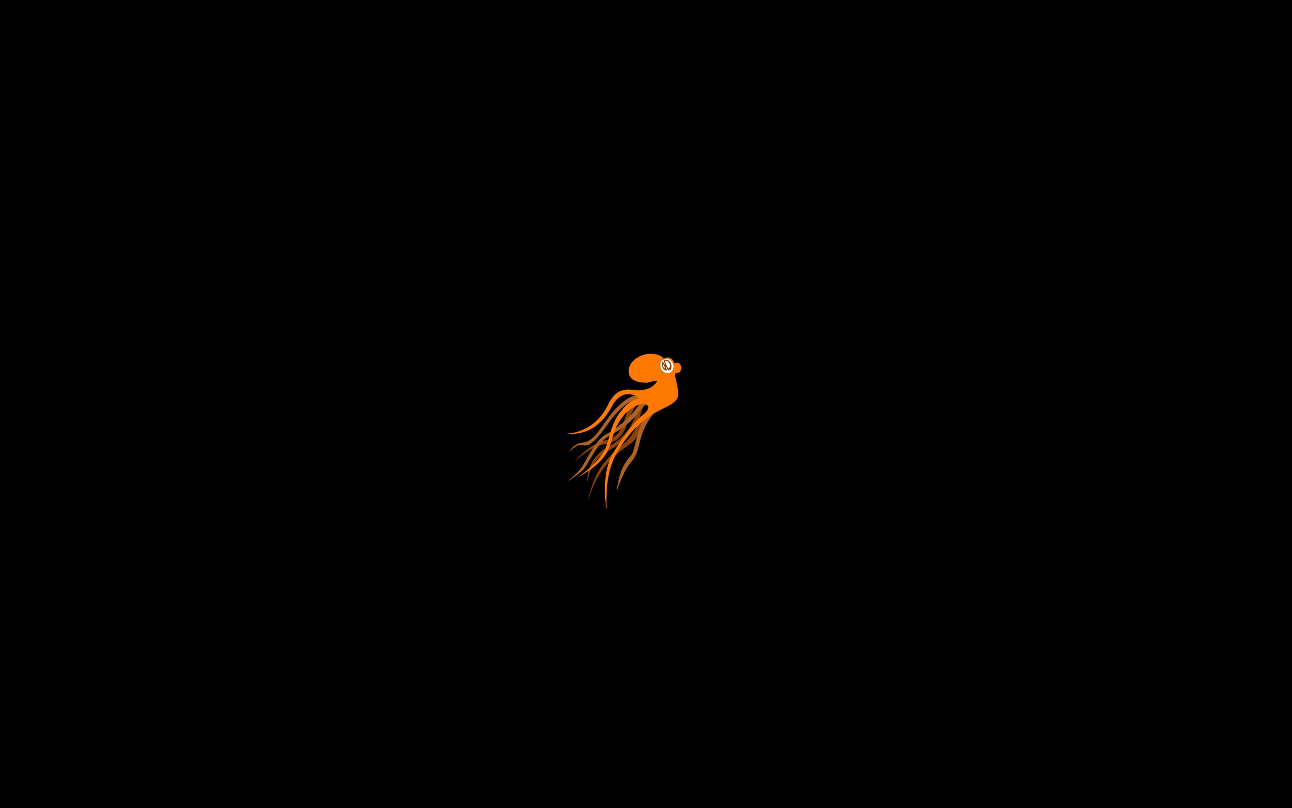 black background, animal themes, nature, vertebrate, sky, squids, animals in the wild, animal wildlife, fragility, outdoors, orange color, bird, studio shot, HD Wallpaper
