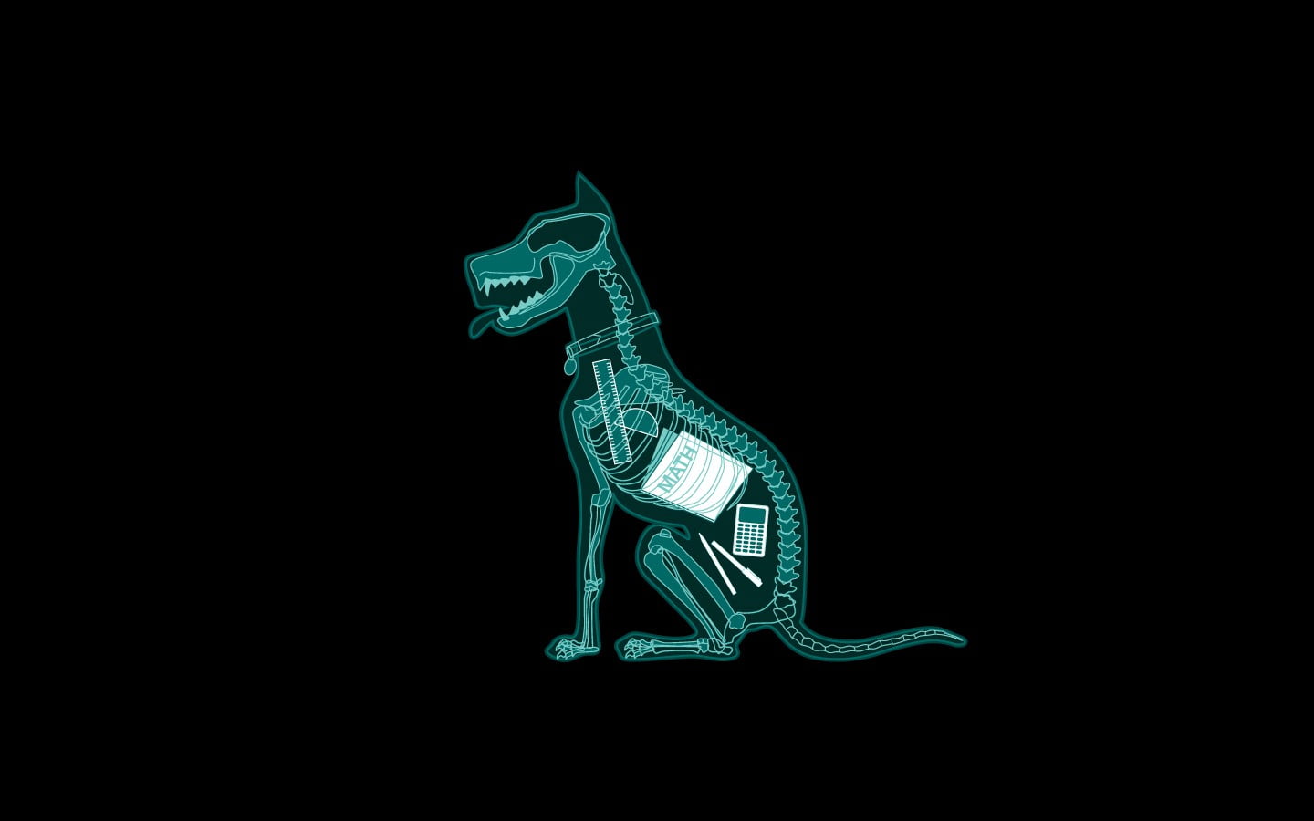 studio shot, animal themes, dog, representation, minimalism, toy, skeleton, humor, creativity, vector, black background, space, animal representation, backgrounds, HD Wallpaper