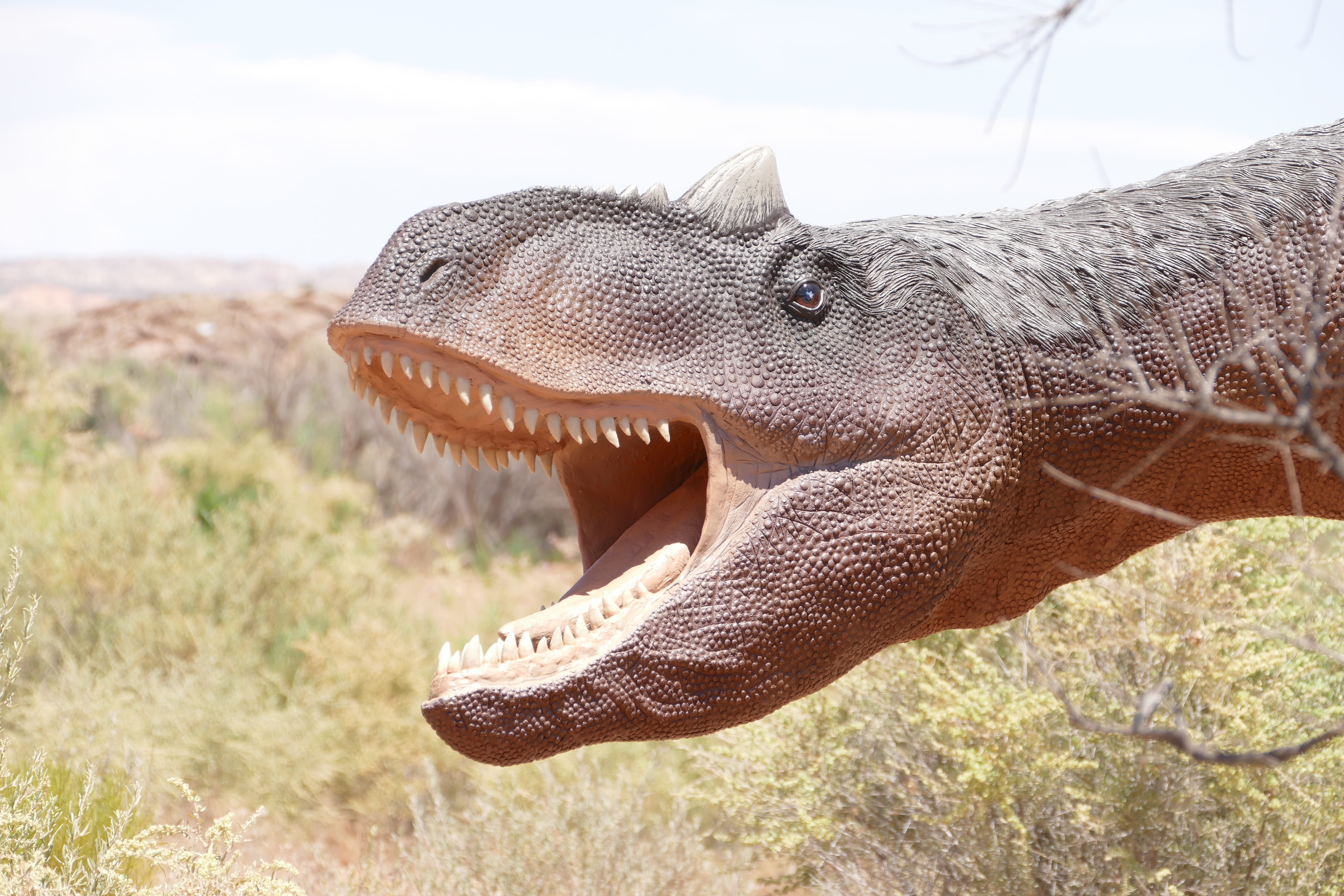 museum, desert, jurassic, bird, evolution, nature, prehistoric, wildlife, animals in the wild, day, sunlight, mouth, reptile, animal head, land, animal wildlife, HD Wallpaper