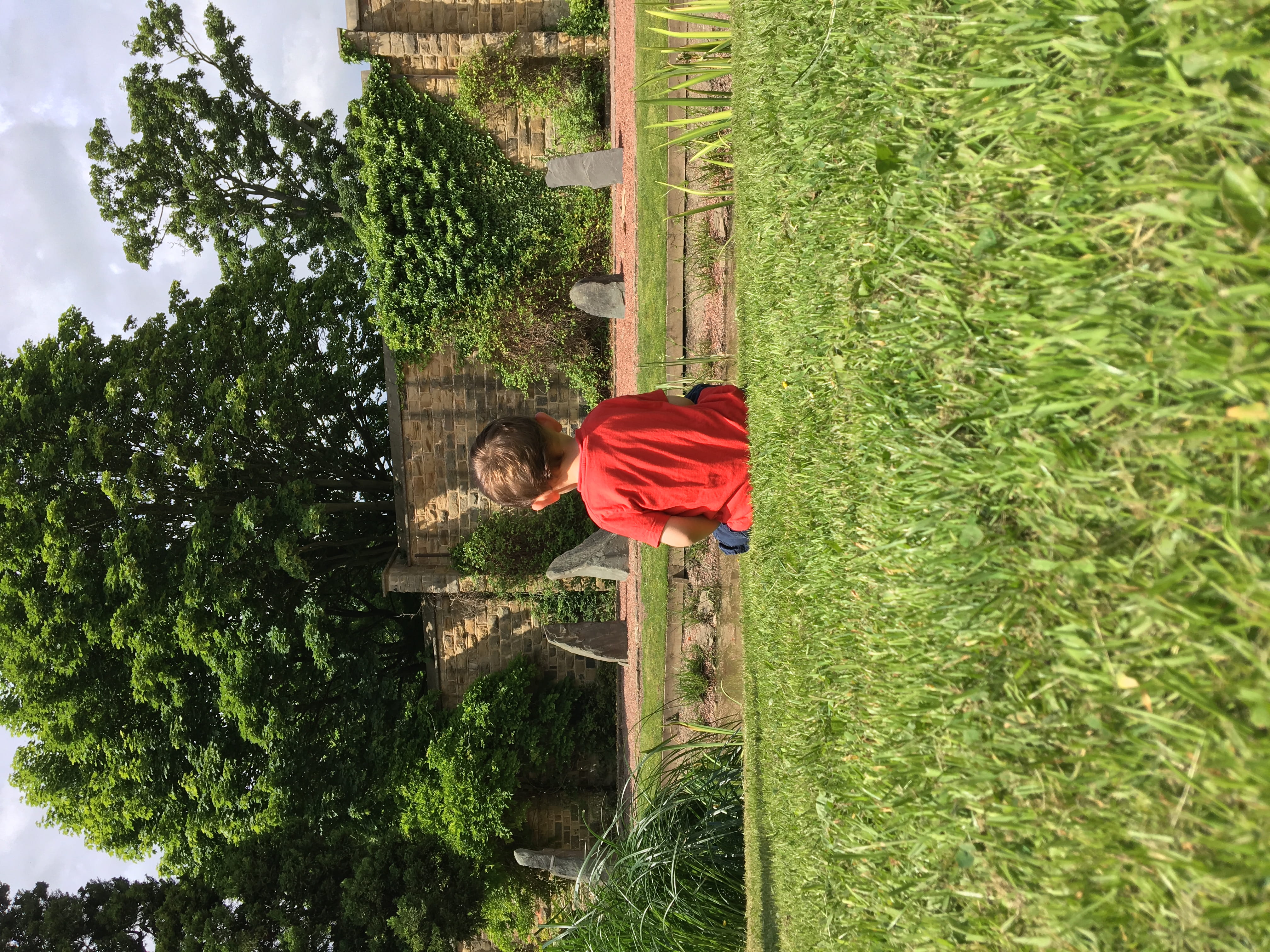 united kingdom, person, nephew, real people, garden, casual clothing, growth, arbour, boys, tree, lawn, one person, day, child, childhood, nature, family, HD Wallpaper