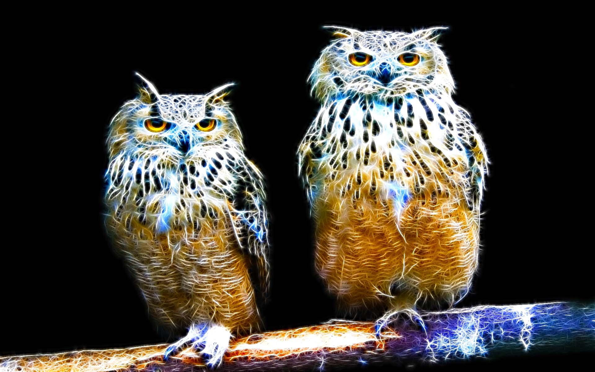 animals, eagle owl, bird, eagle, owl, sparkle, beauty, animal, twin, 1080P, fractalius, HD Wallpaper