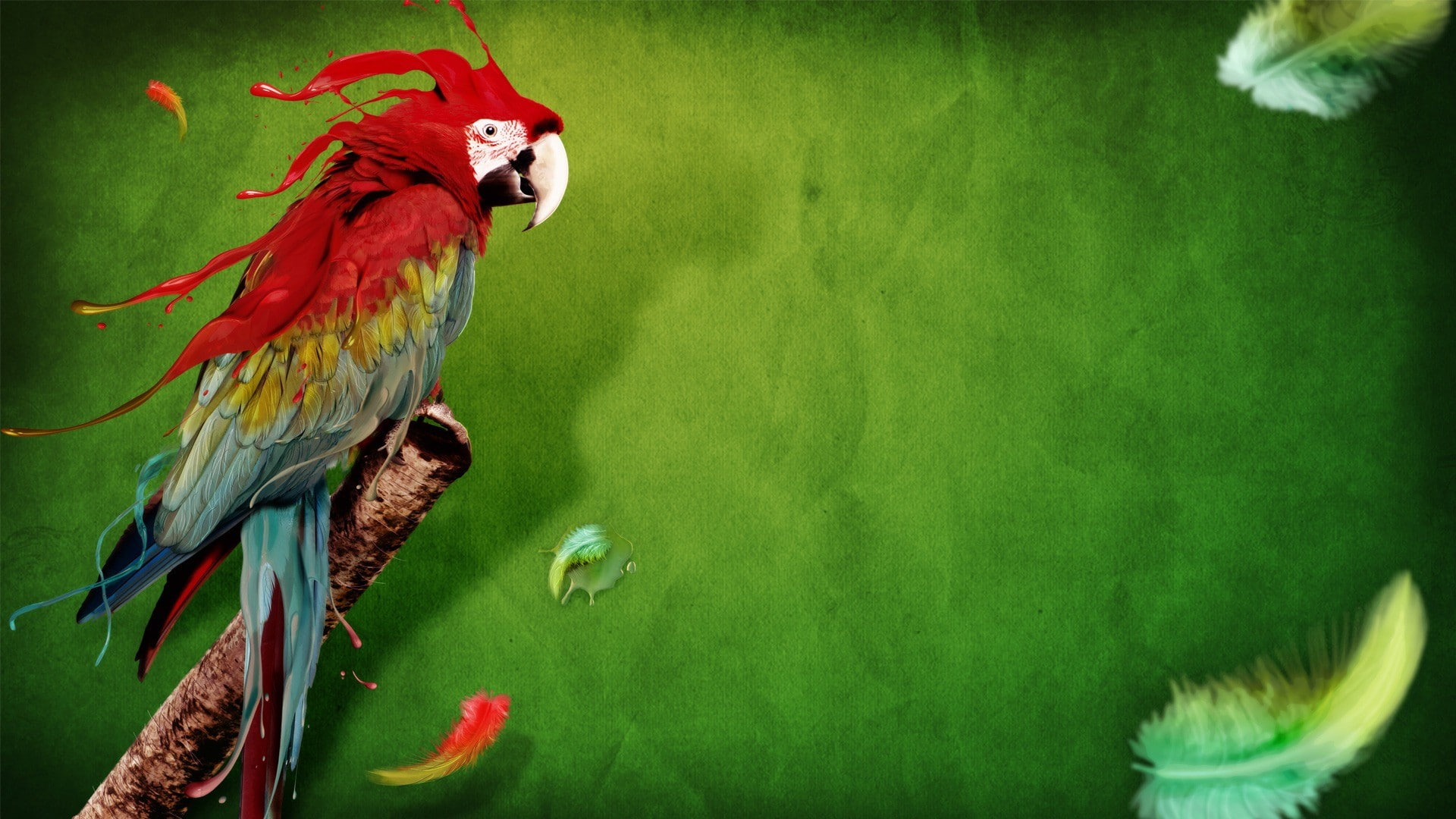 feathers, birds, parrot, macaws, 1080P, digital art, animals, HD Wallpaper