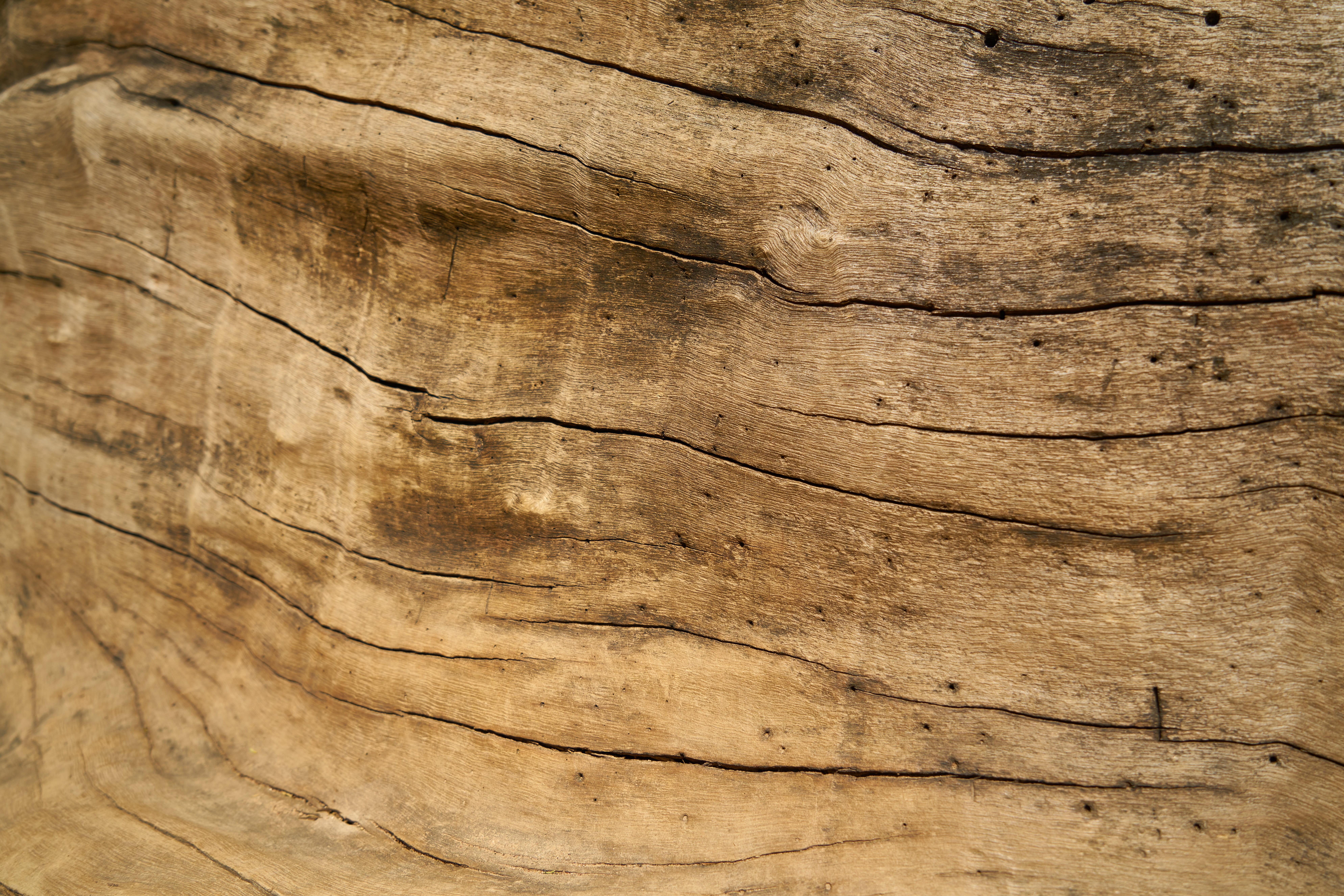 8K, plank, flooring, brown, no people, close-up, oak, wood - material, outdoors, old, backgrounds, tree trunk, abstract, rough, ground, wood-fibre boards, HD Wallpaper