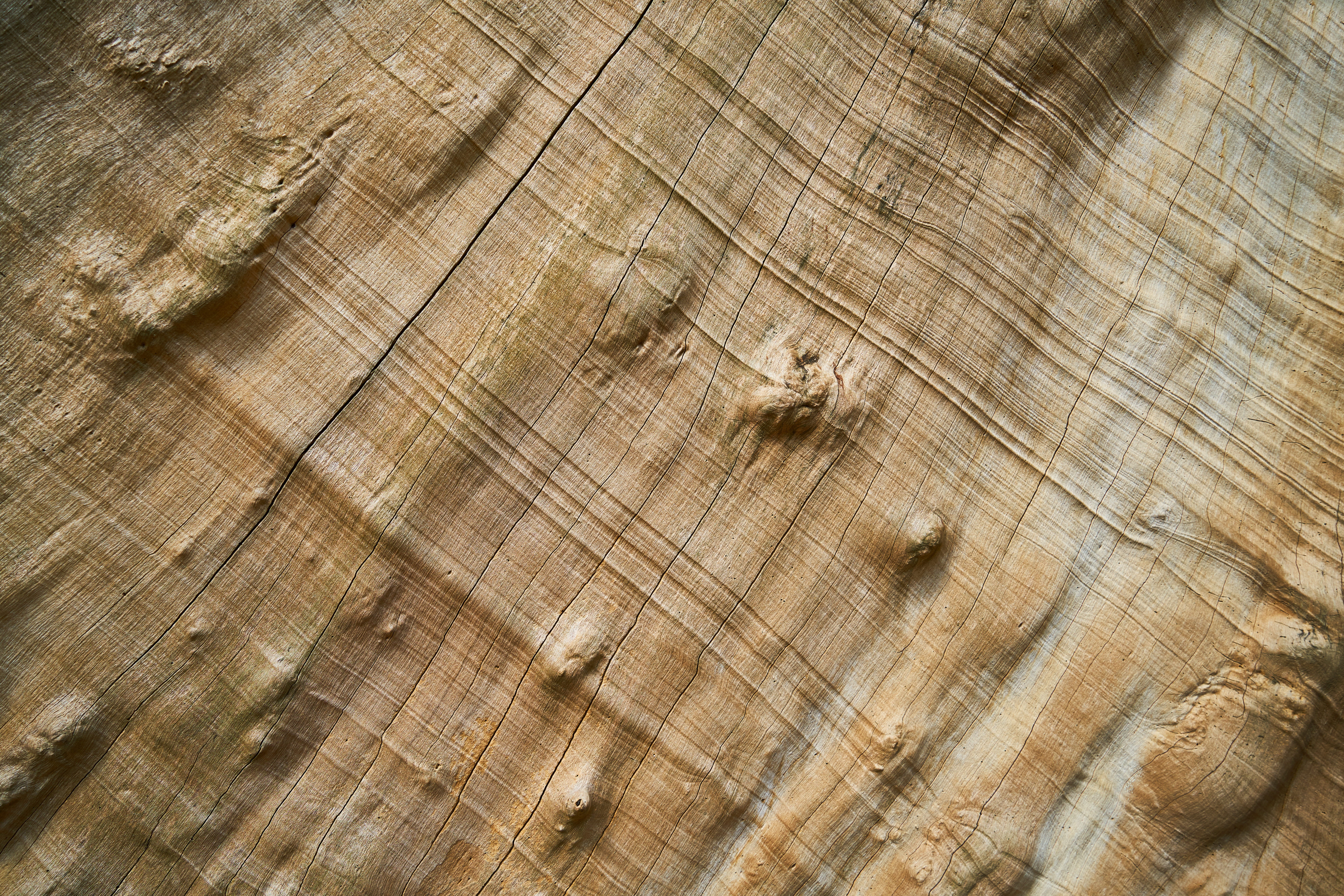 Nature, wood-fibre boards, wood, yellow, sunlight, beige, decoration, wood - material, background, old, tranquility, Boards, Tree, 8K, macro, high angle view, HD Wallpaper