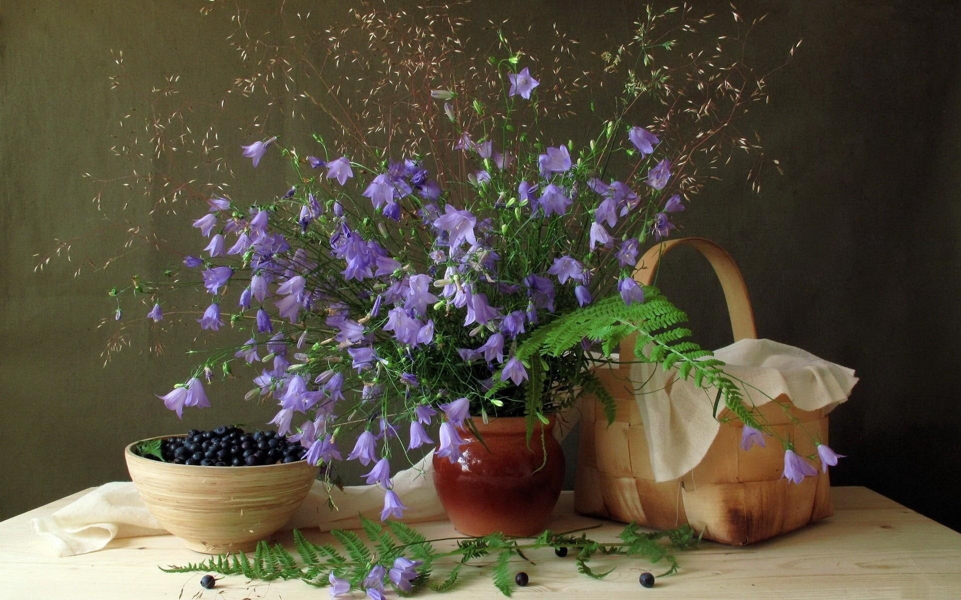 life, rustic, flowers, pictures, vase, food, blueberries, pot, 1080P, HD Wallpaper