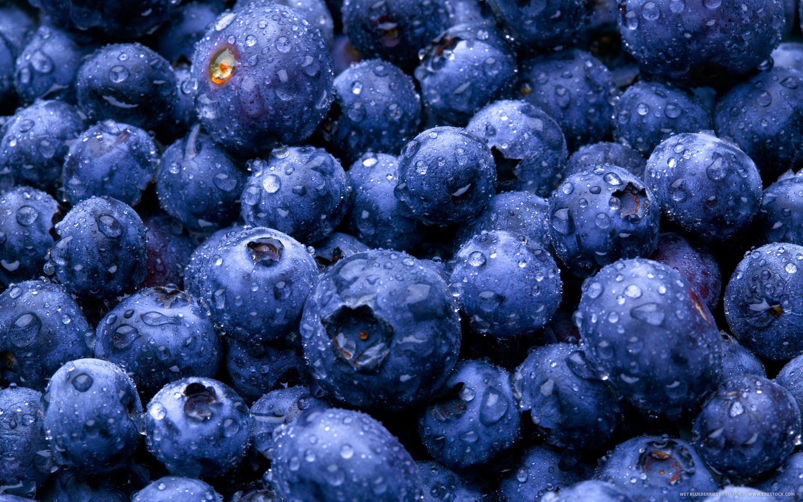 picture, nature, blueberries, drops, food, berries, 2K, water, gallery, fruits, HD Wallpaper