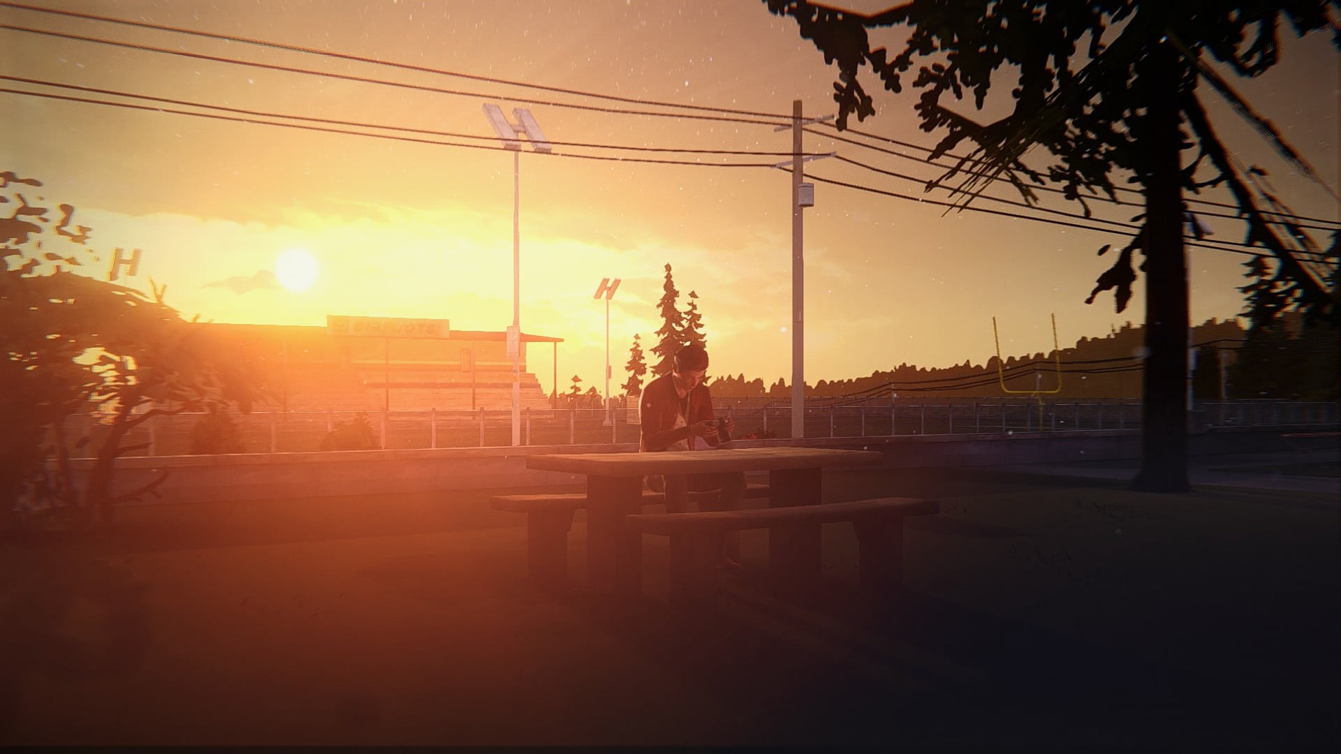 power supply, outdoors, nature, plant, sky, built structure, power line, lens flare, orange color, street, sunset, city, white, sun, table, tree, building exterior, HD Wallpaper