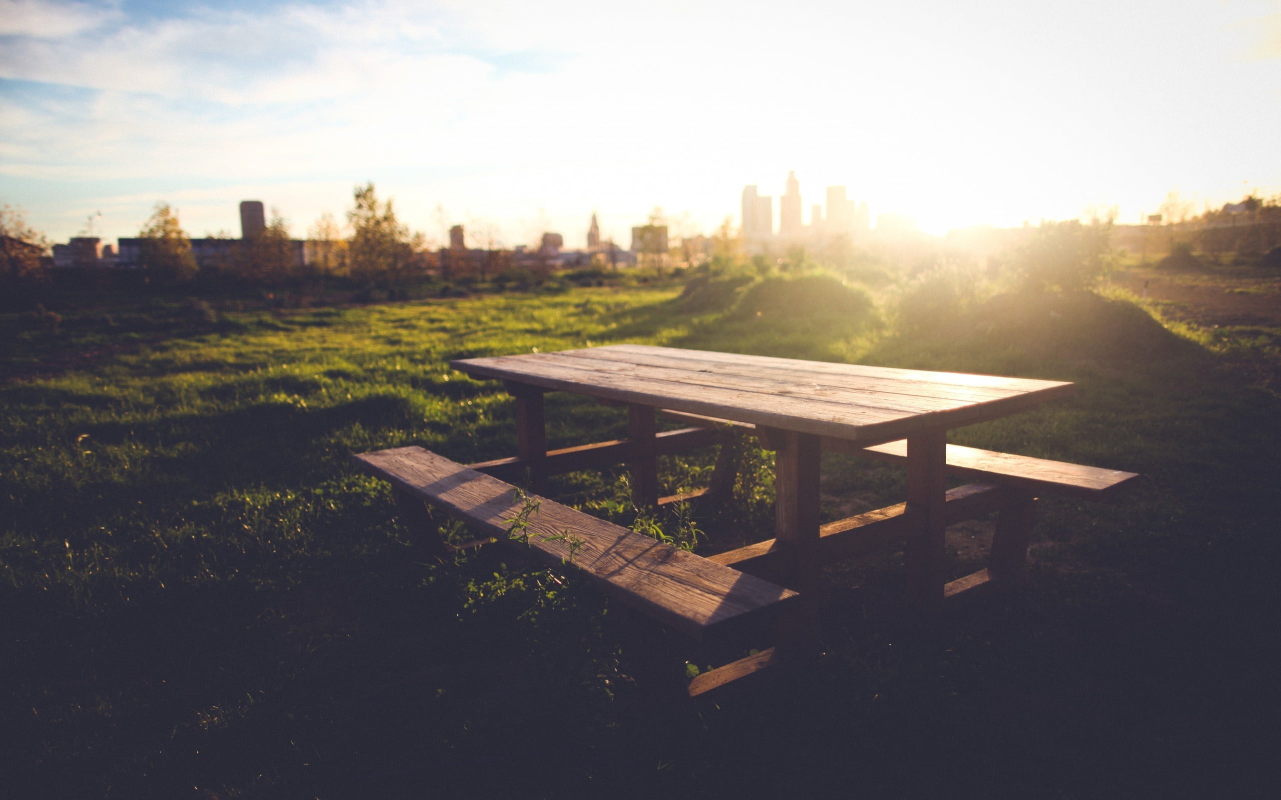 park, wooden, built structure, outdoors, plant, empty, 2K, building exterior, no people, absence, nature, wood - material, sunlight, brown, bright, city, HD Wallpaper