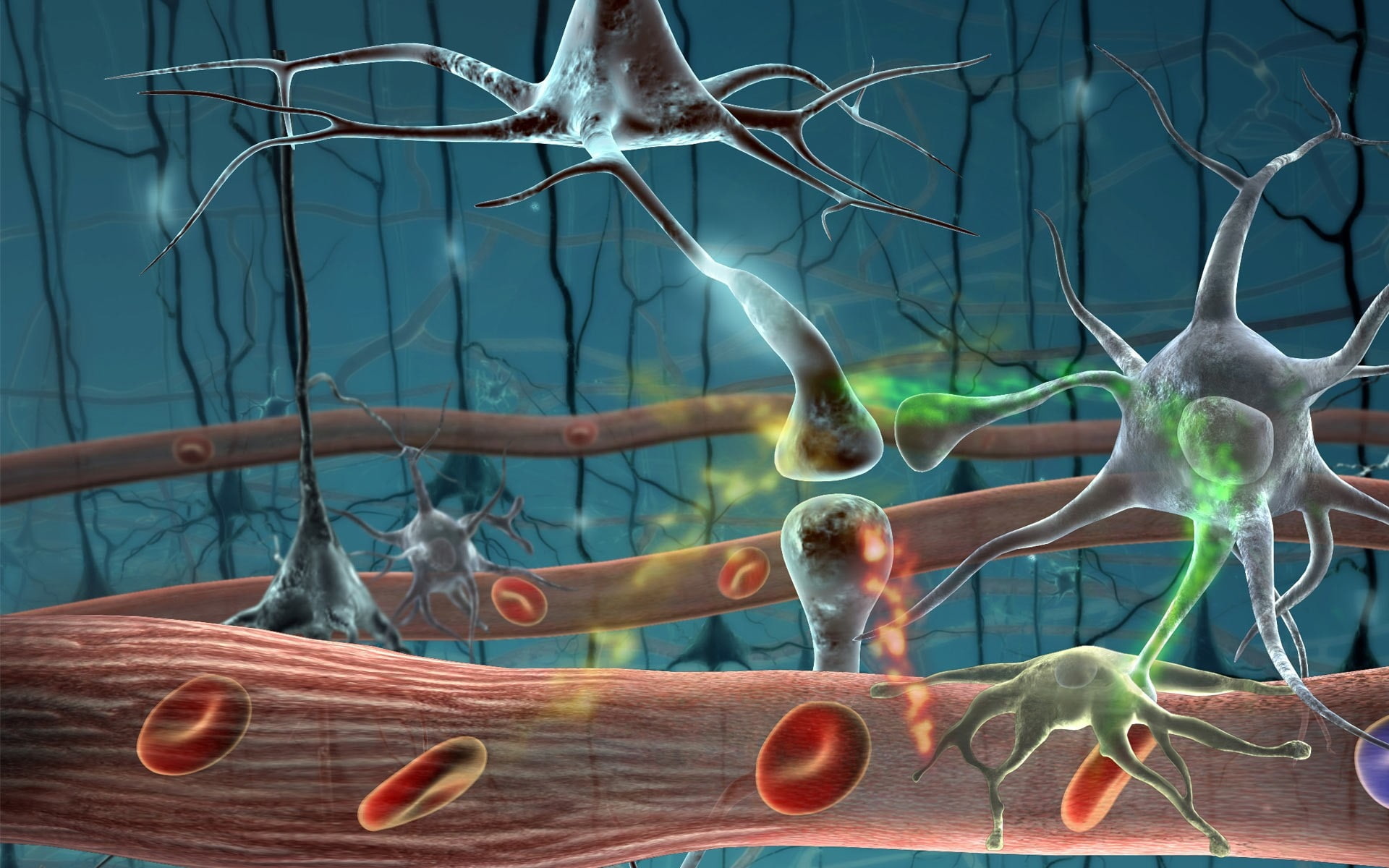 Cells, art, neurons, artwork, cgi, 1080P, digital, 3d, HD Wallpaper