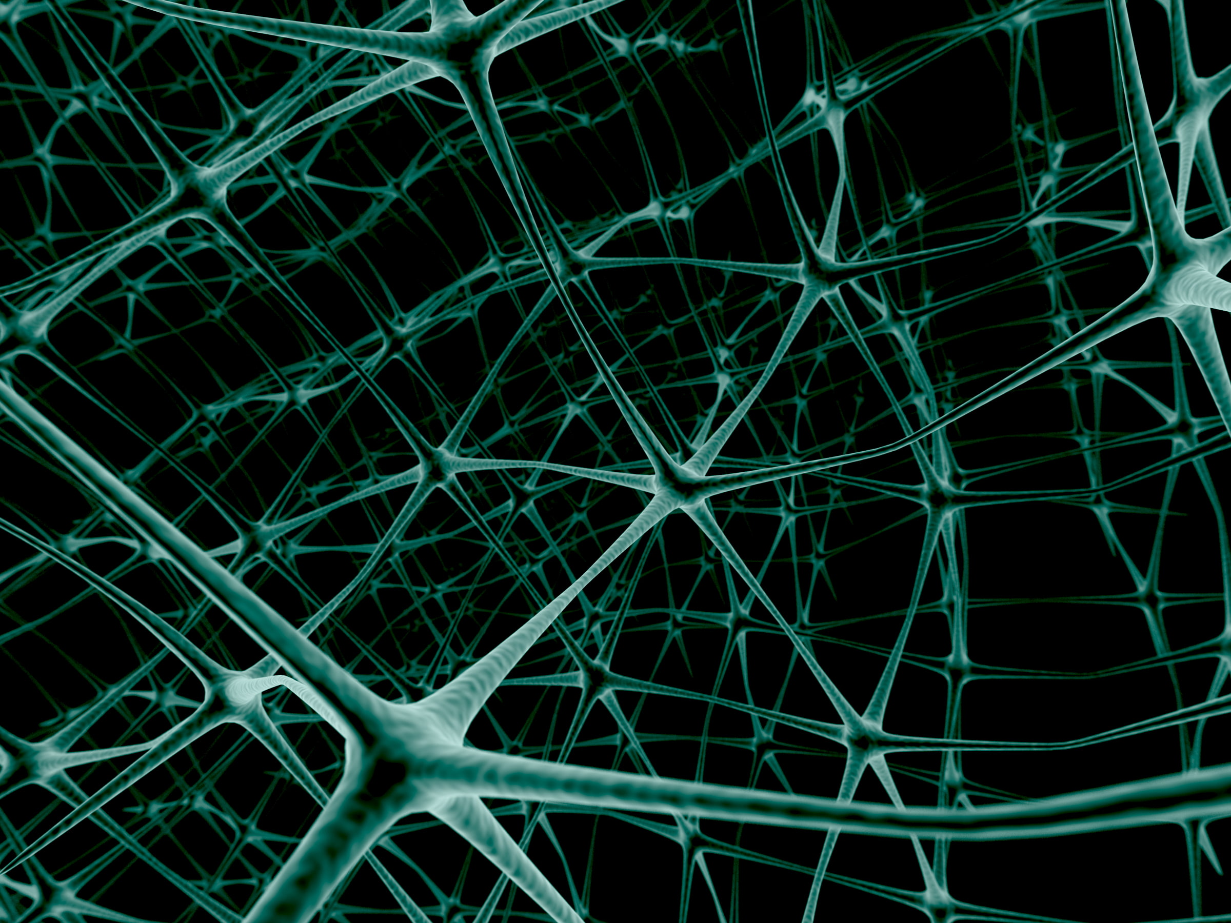neurons, link, network, 1080P, HD Wallpaper