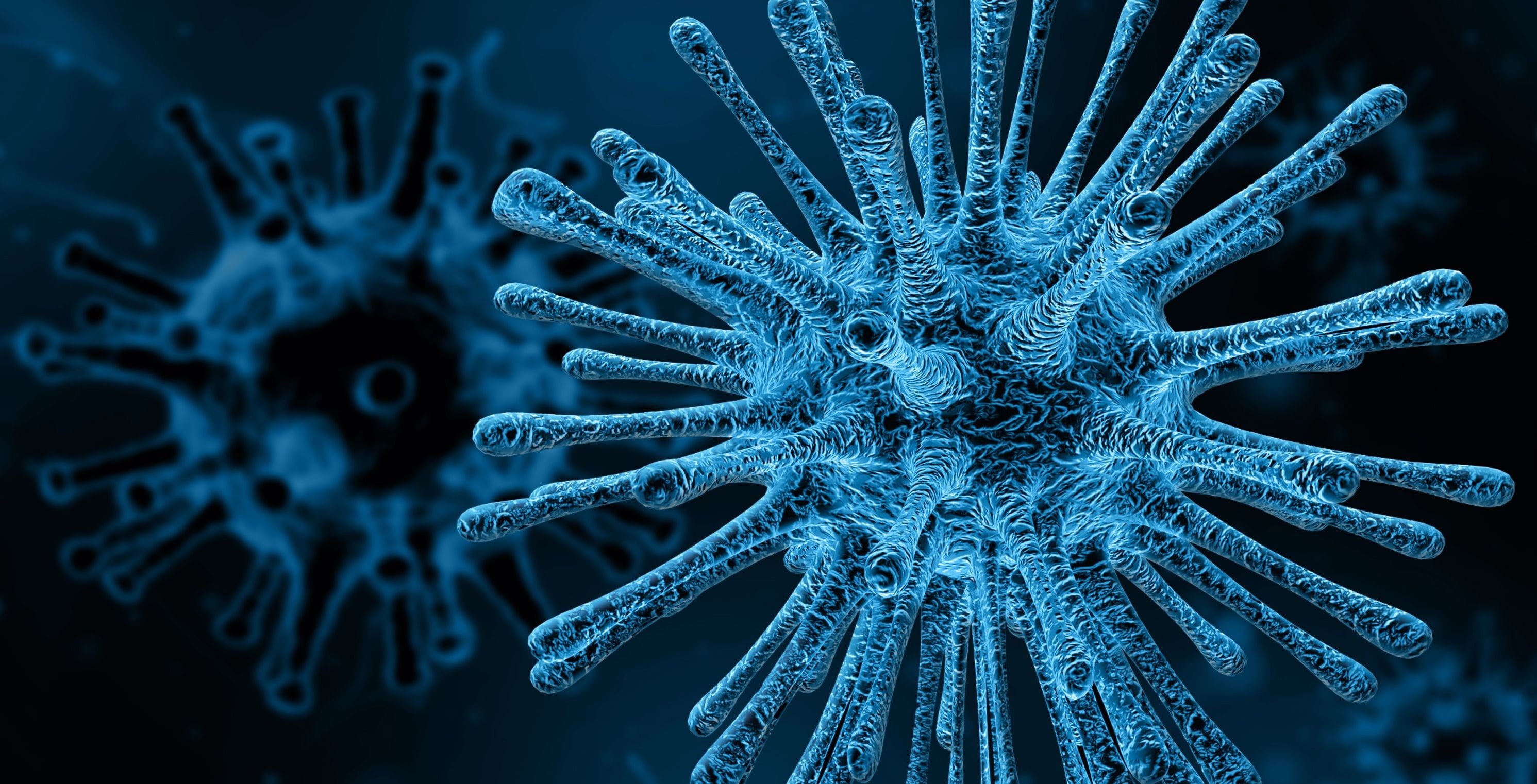CELL, DISEASE, BACTERIA, VIRUS, 2K, HD Wallpaper