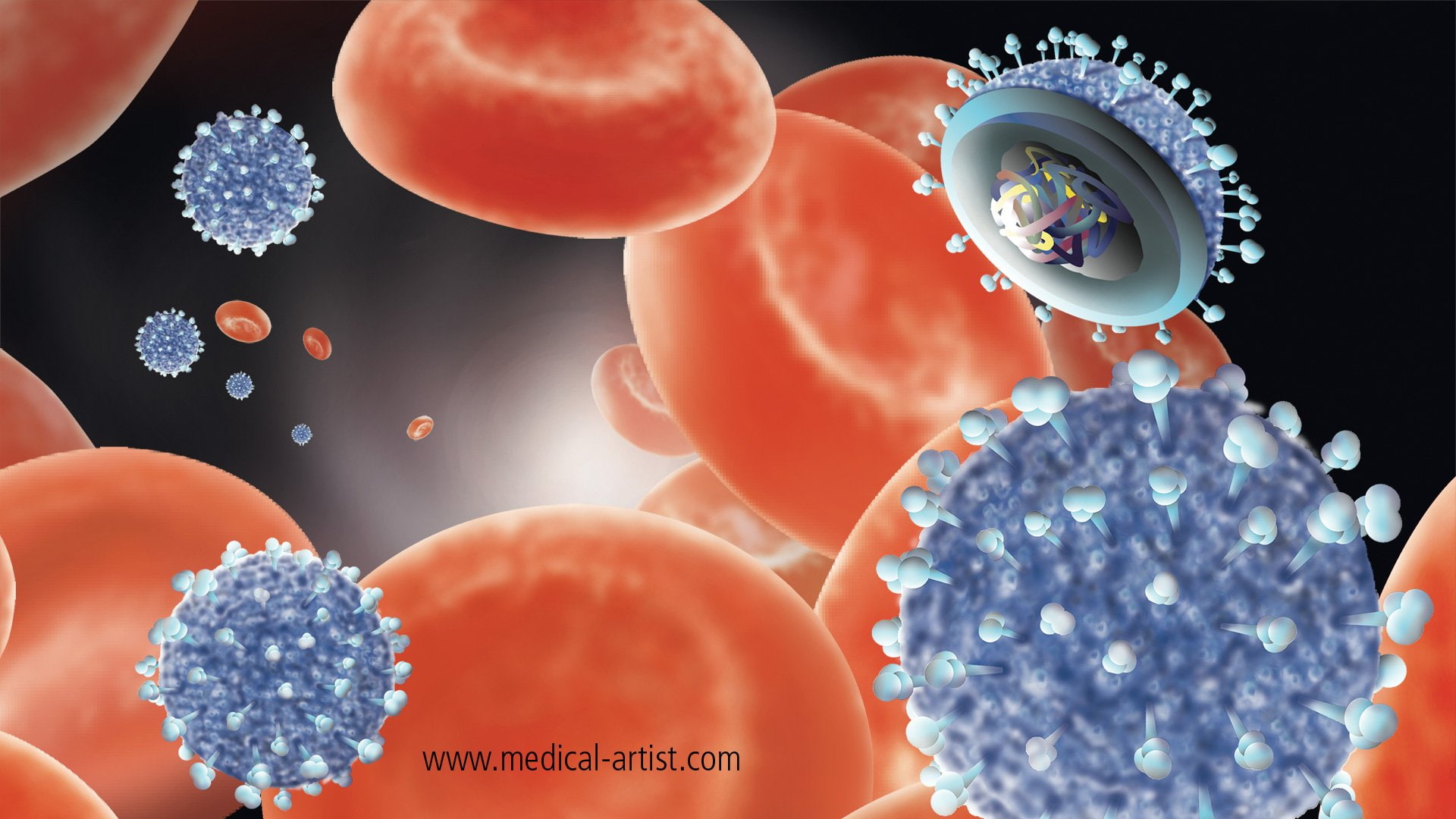 Disease, Medical, 1080P, flu, Virus, HD Wallpaper