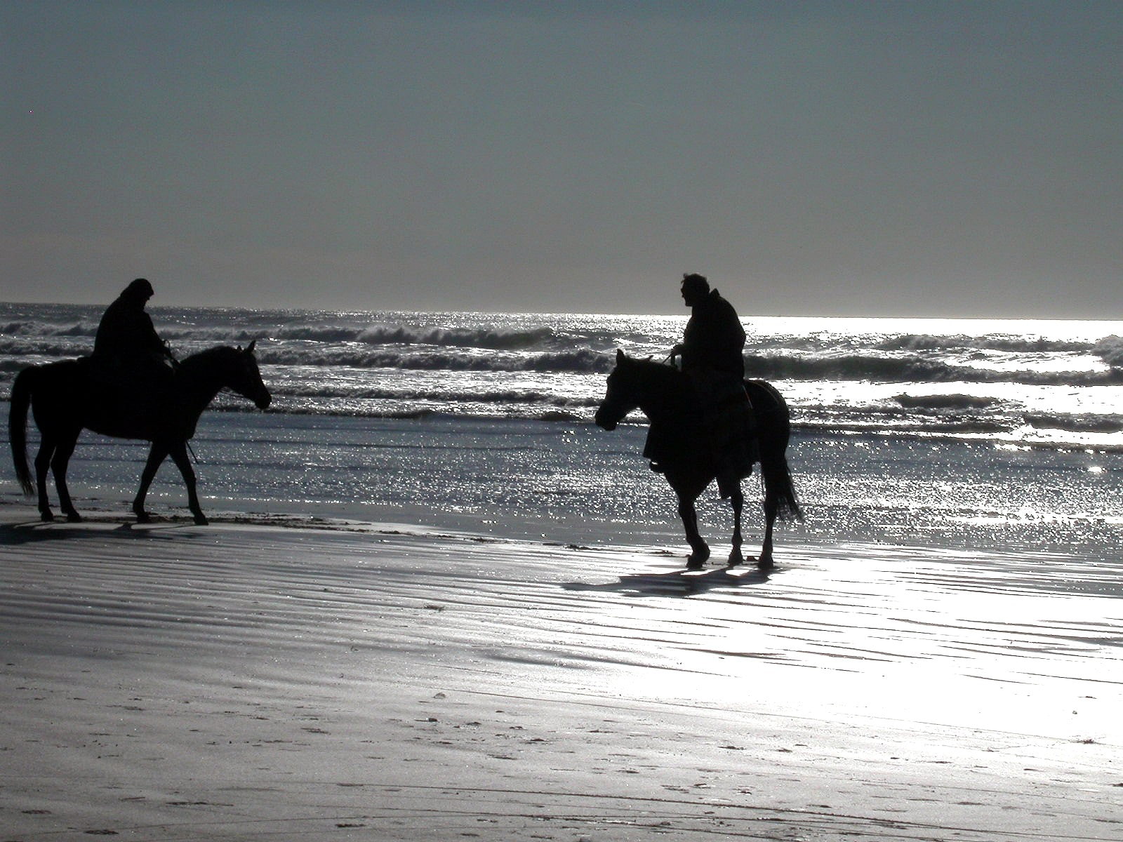 horse, 720P, sea, beach, HD Wallpaper