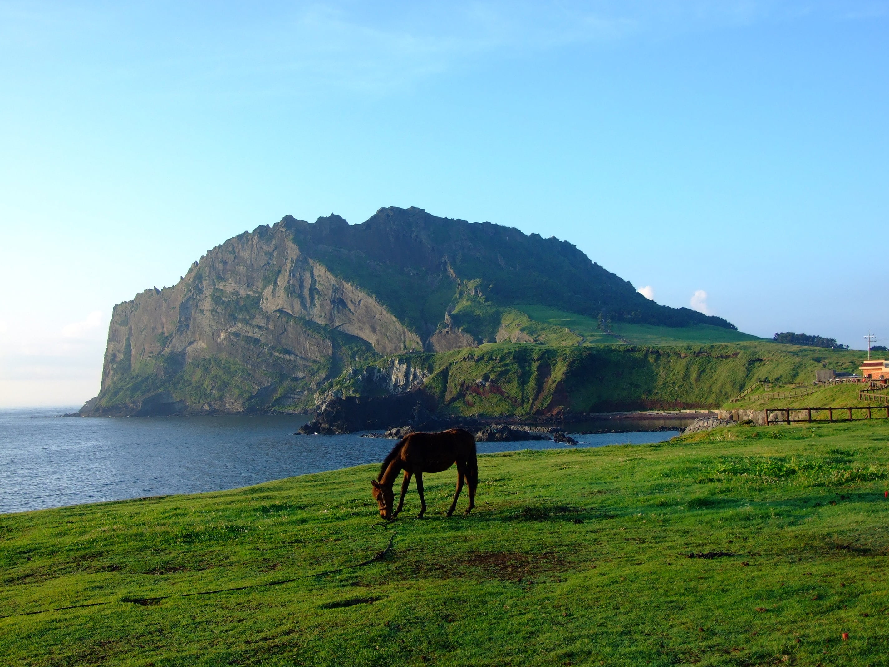 day, idyllic, environment, beauty in nature, outdoor, brown, scenery, rural Scene, korea, real people, 2K, land, mountain, nature, water, horse, view, HD Wallpaper