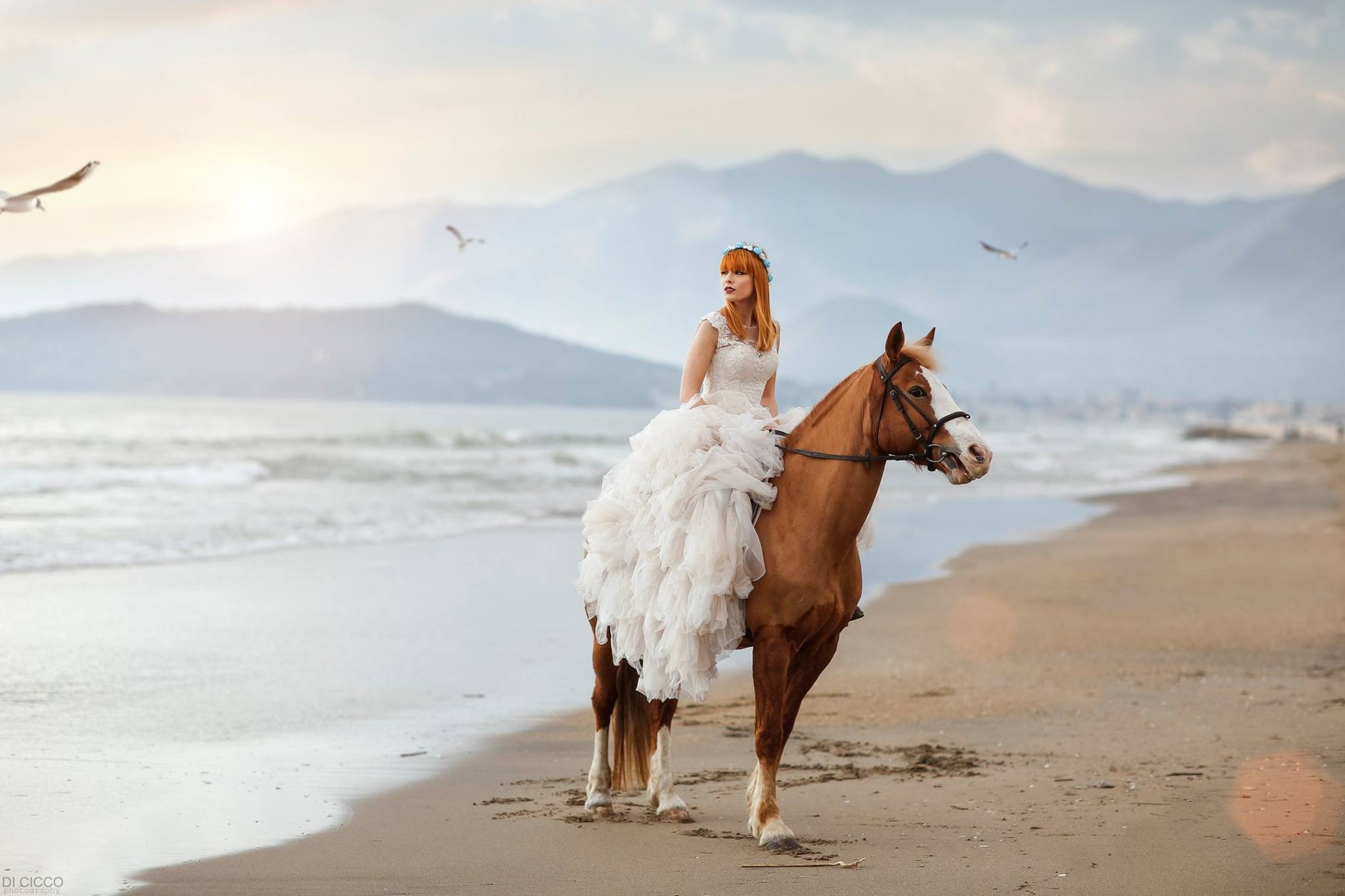 dress, seagulls, Roberta Poccafassi, horse, sea, Alessandro Di Cicco, girl, mood, 1080P, HD Wallpaper
