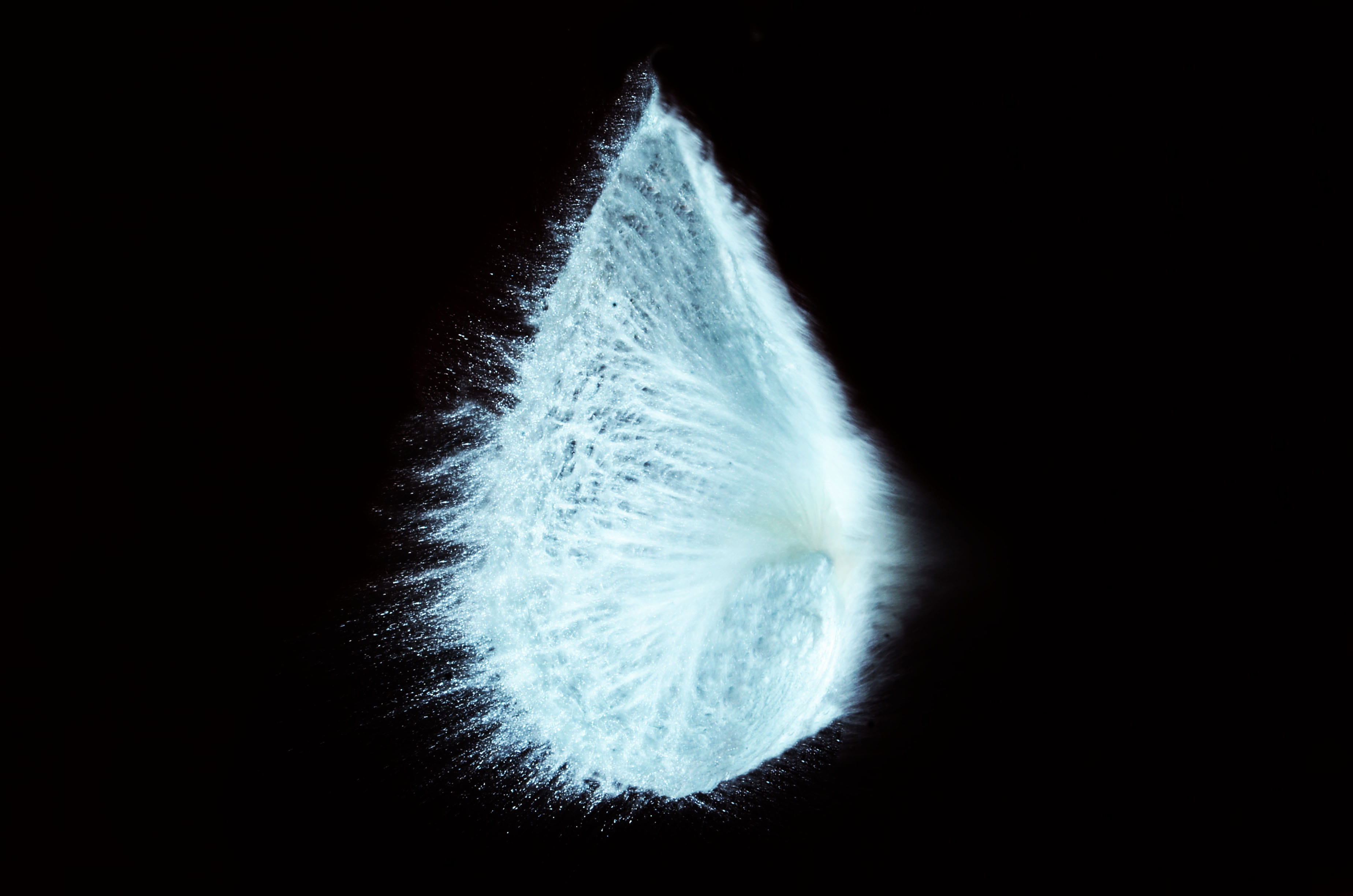 illness, shaped, softness, shape, microscopic organism, macro, mid-air, destruction, vulnerability, biology, close-up, healthcare And Medicine, abstract, HD Wallpaper