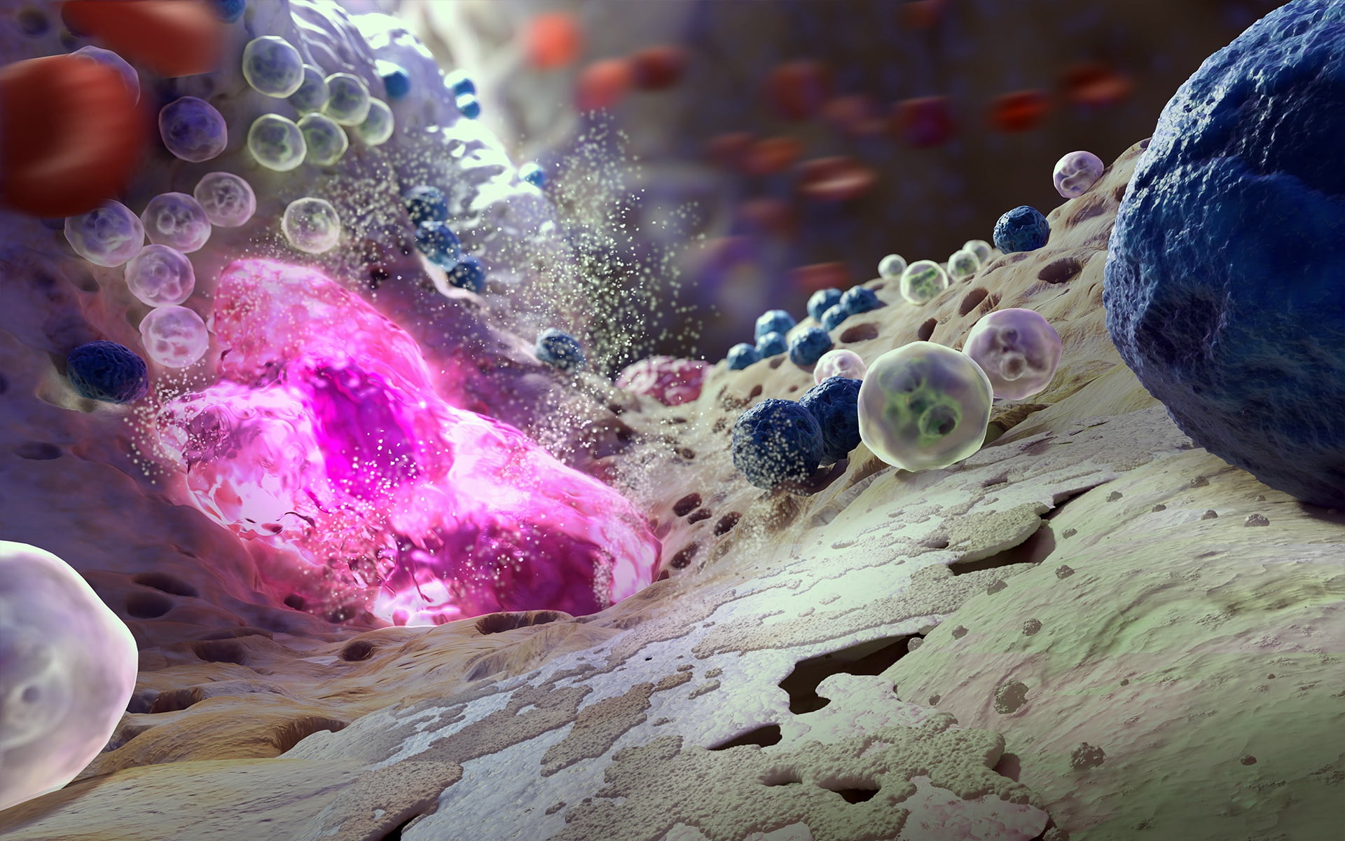 science, macro, colors, biology, microscope, 1080P, bacteria, Viruses, marrow, bones, HD Wallpaper