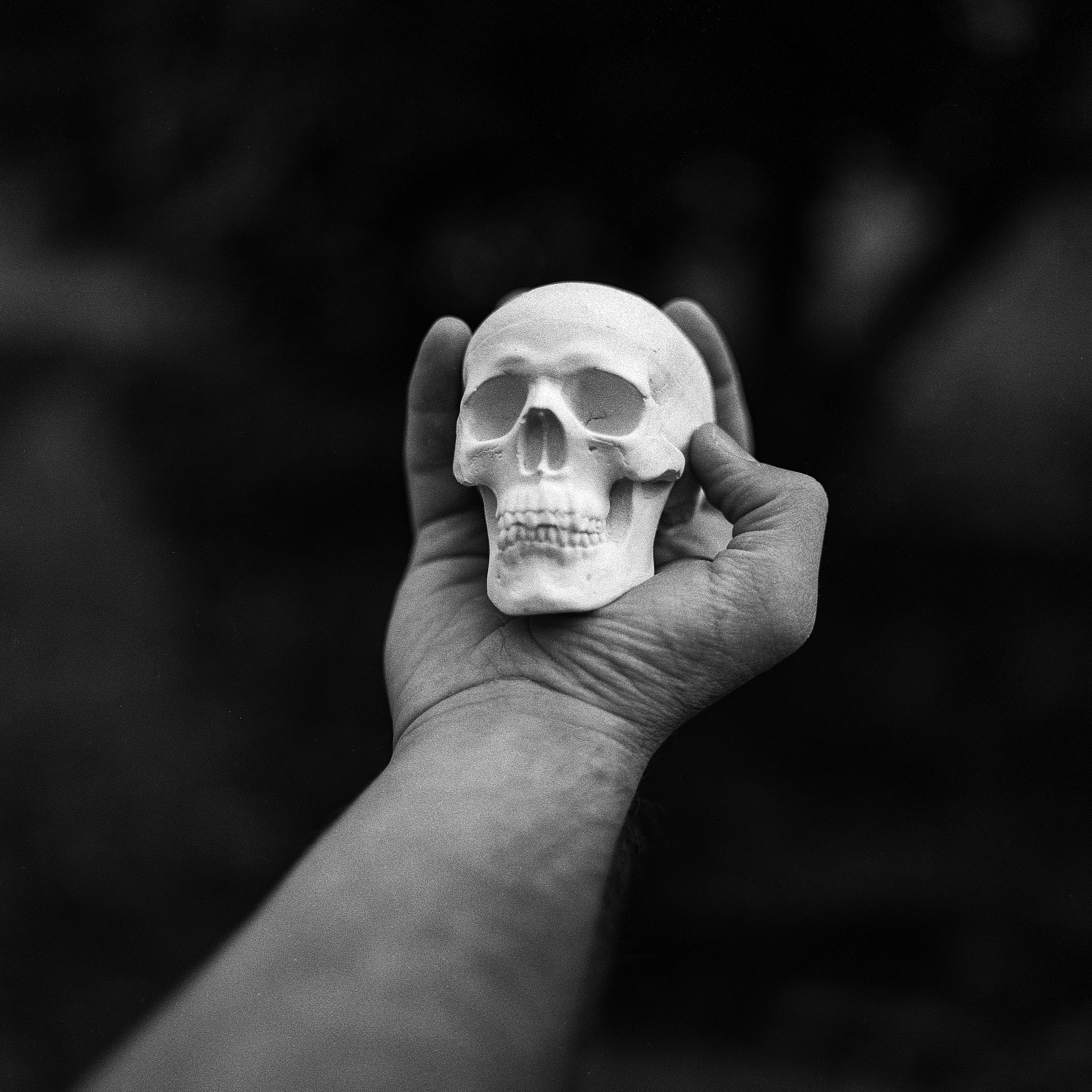 healthcare and medicine, unrecognizable person, adult, hand, human limb, human hand, human body part, skull, lifestyles, people, personal perspective, monochrome, Phone HD Wallpaper