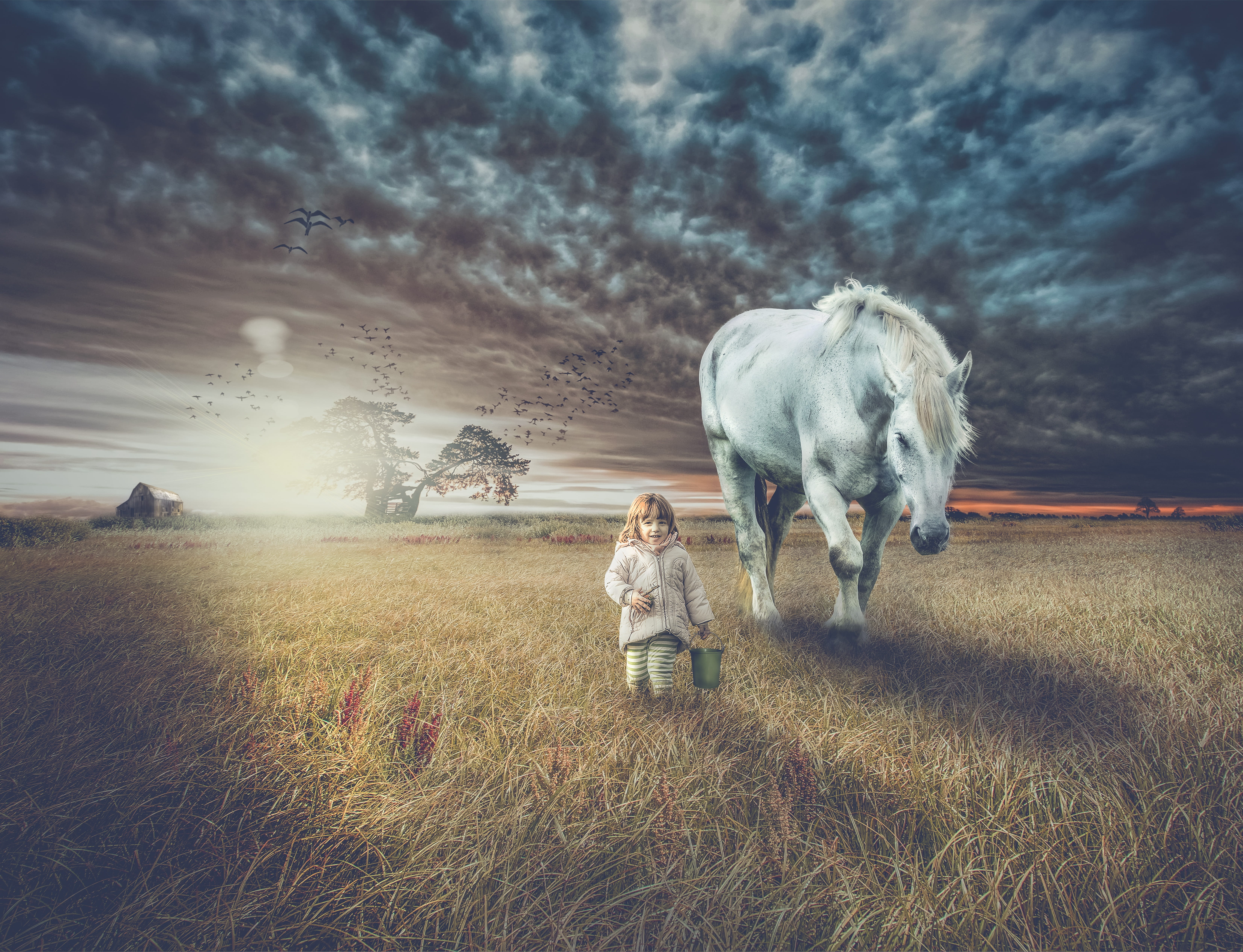 bucket, walking with horse, grass, outdoors, cloud, summer, farmer, animal themes, rural, sky, horizon, cloud - sky, sunrise, plant, tree, standing, crazy, HD Wallpaper