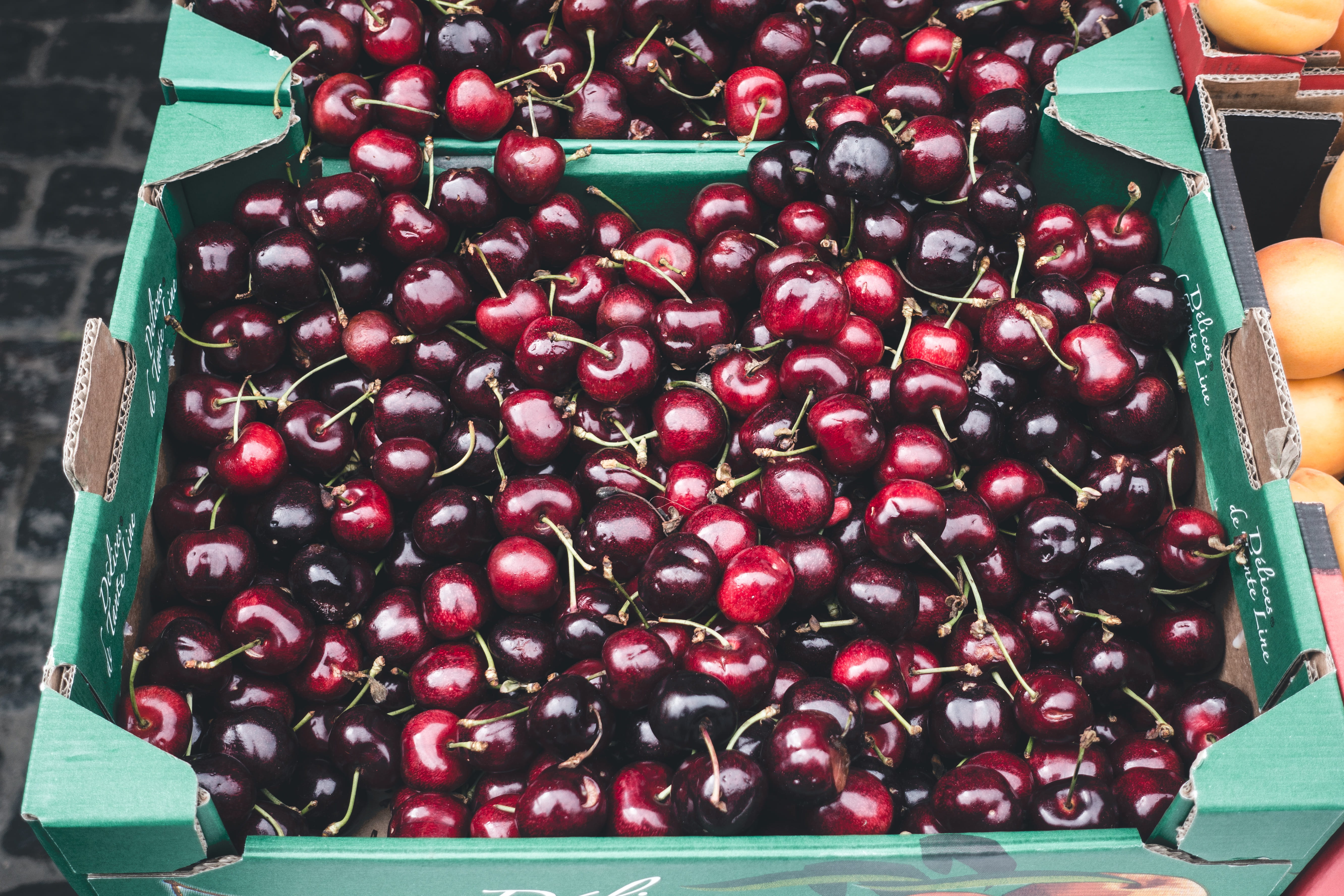 container, close-up, sweet Food, Dark red, red, indoors, gourmet, farmers market, berry Fruit, ripe, wellbeing, summer, food, dark, cherry, 5K, no people, HD Wallpaper
